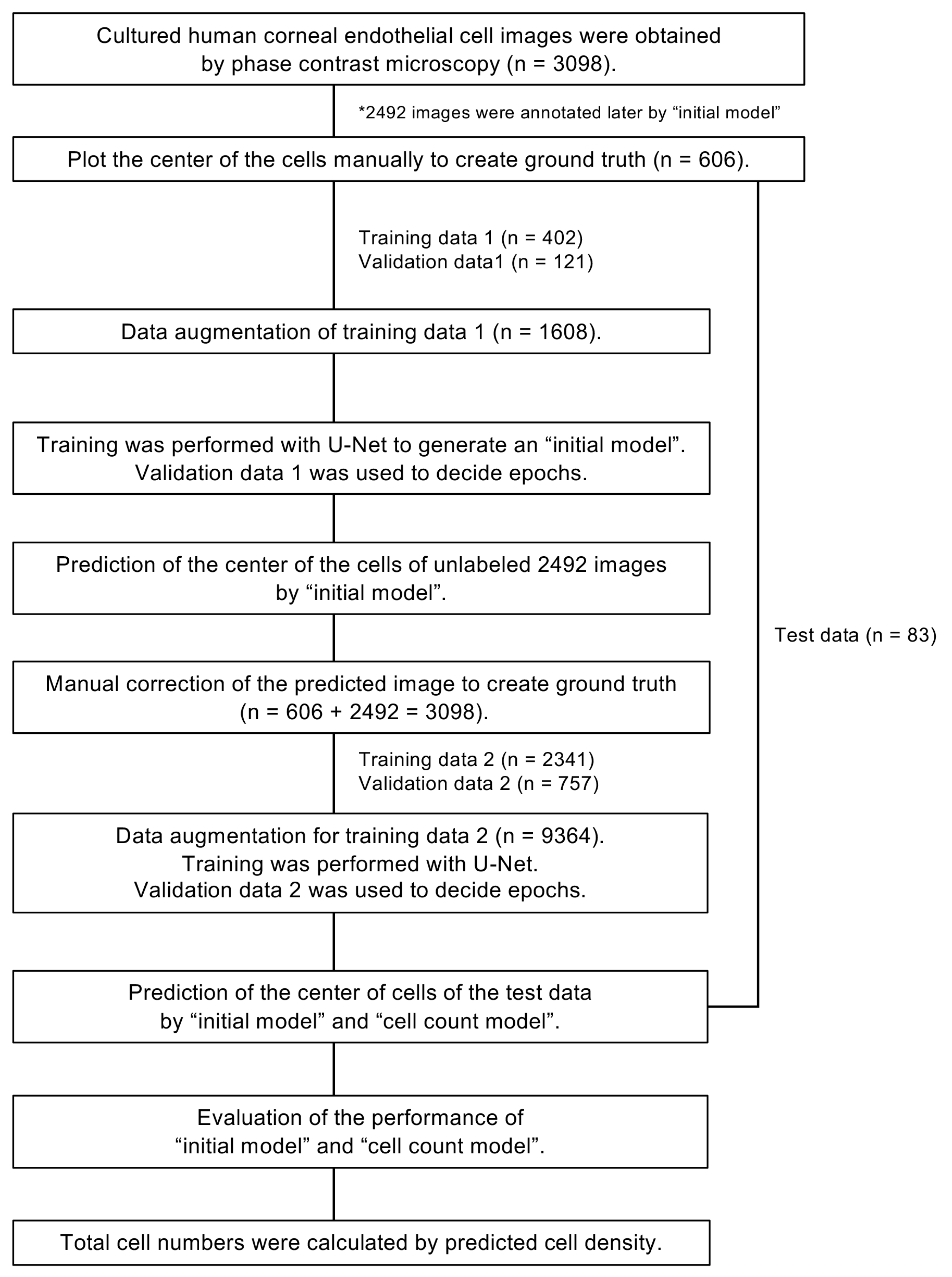Bioengineering 11 00071 g001