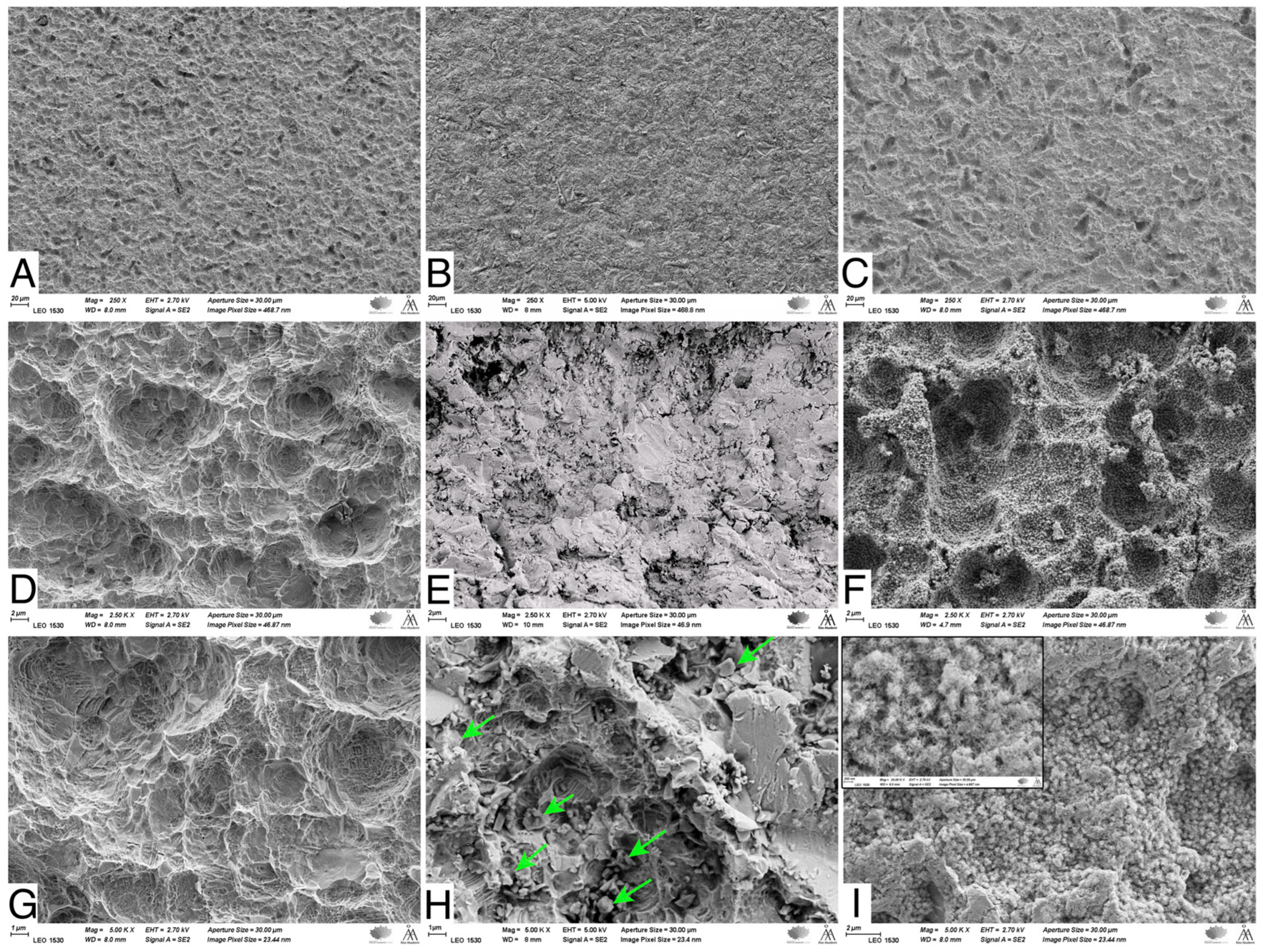 Bioengineering 11 00074 g002