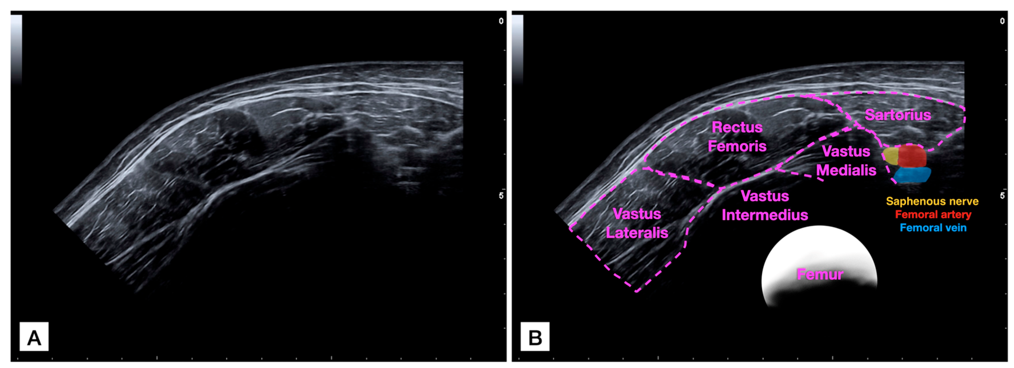 Bioengineering 11 00082 g001