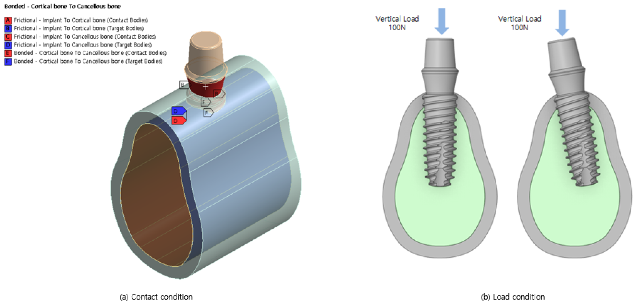 Bioengineering 11 00084 g002 Bioengineering 11 00084 g002