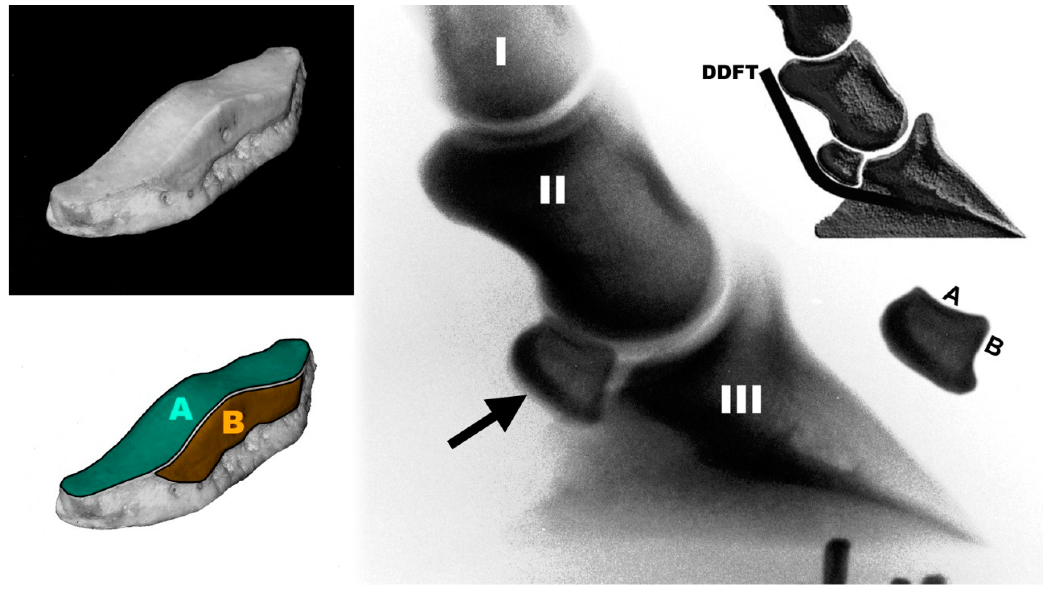 Bioengineering 11 00087 g001