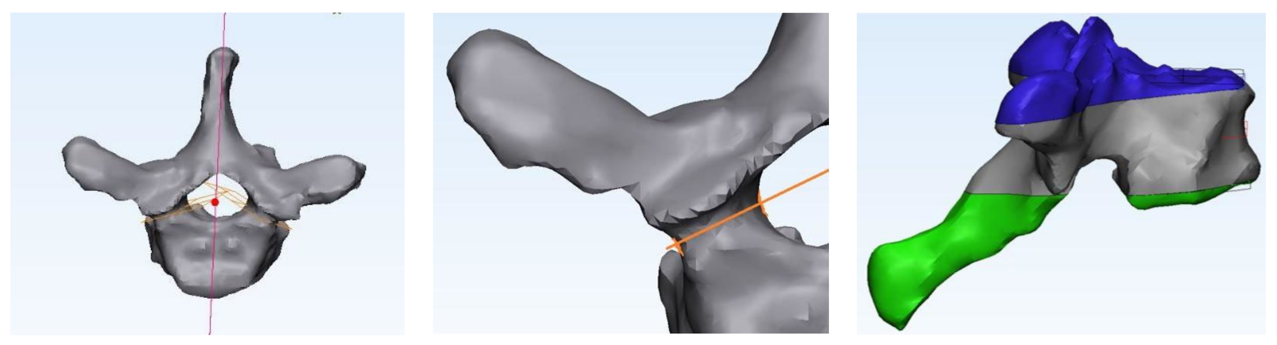 Bioengineering 11 00096 g002