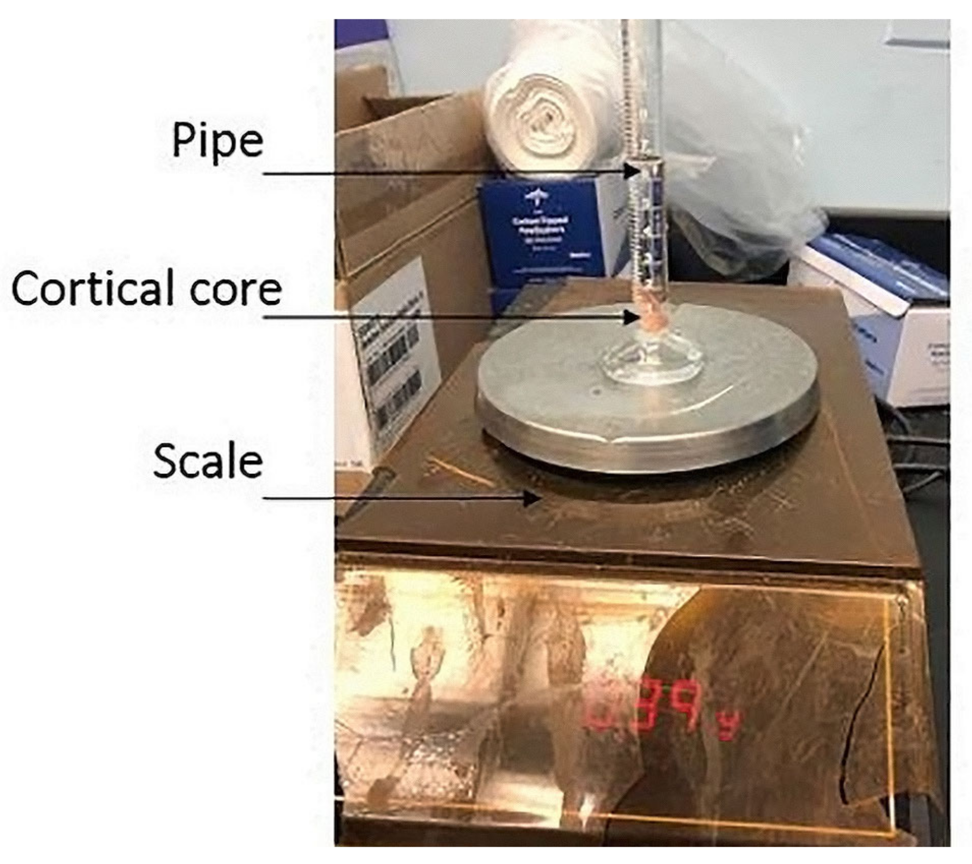 Bioengineering 11 00096 g003