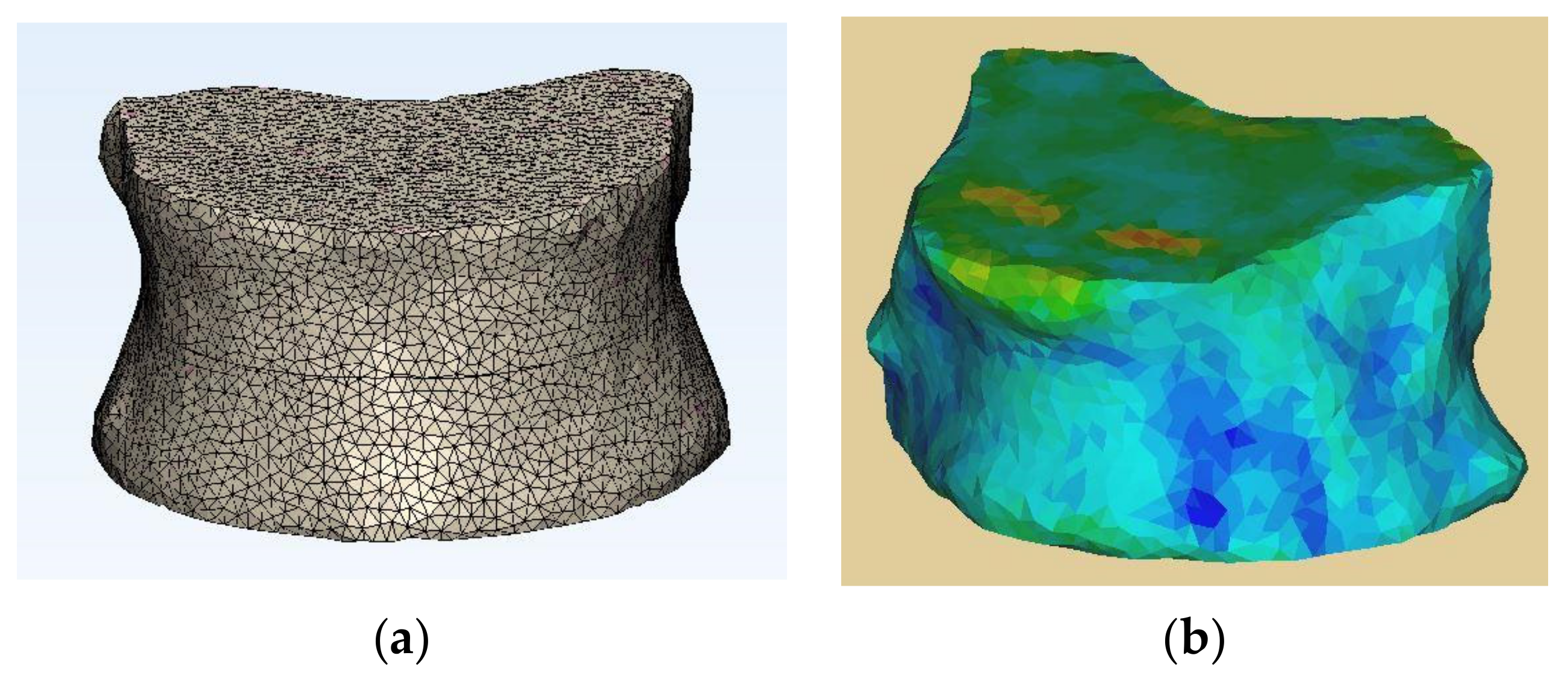 Bioengineering 11 00096 g004