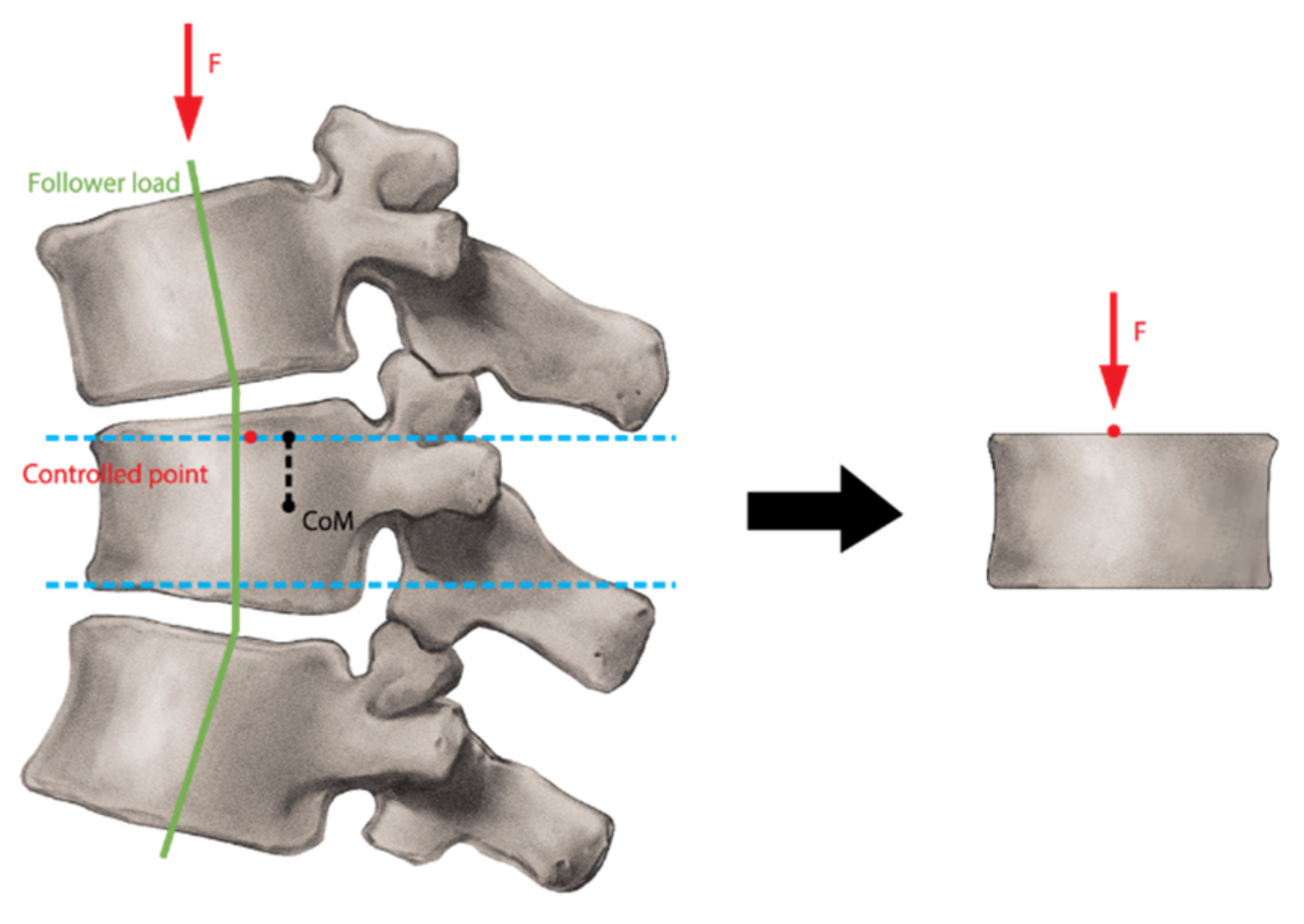 Bioengineering 11 00096 g005
