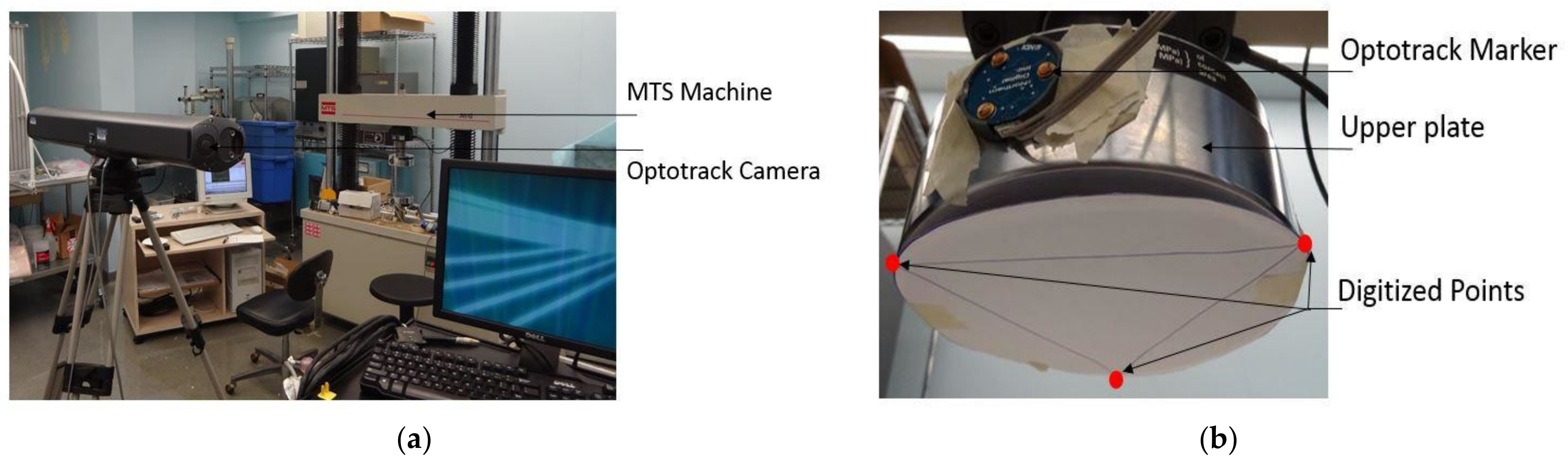 Bioengineering 11 00096 g007