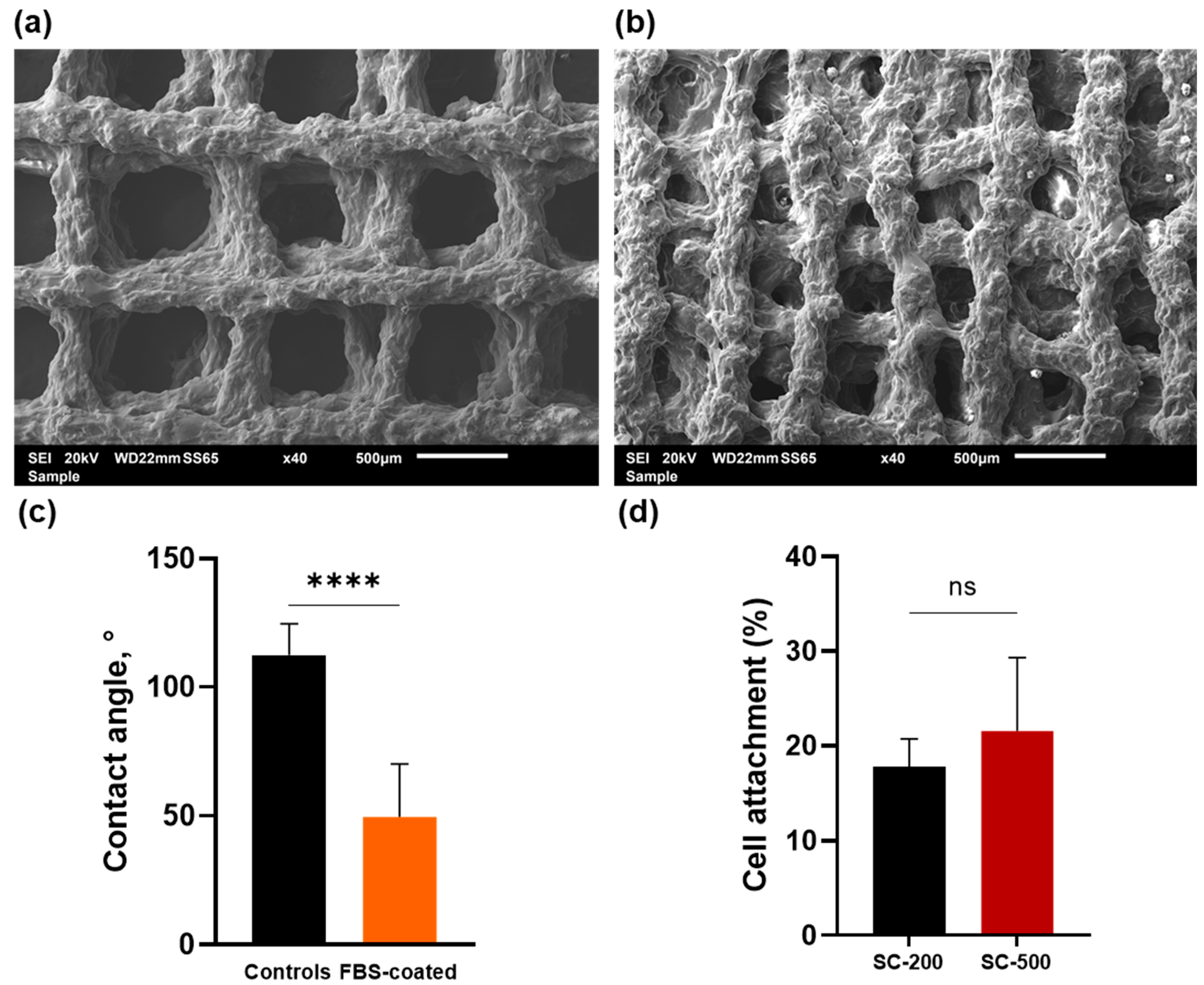 Bioengineering 11 00112 g001 Bioengineering 11 00112 g001