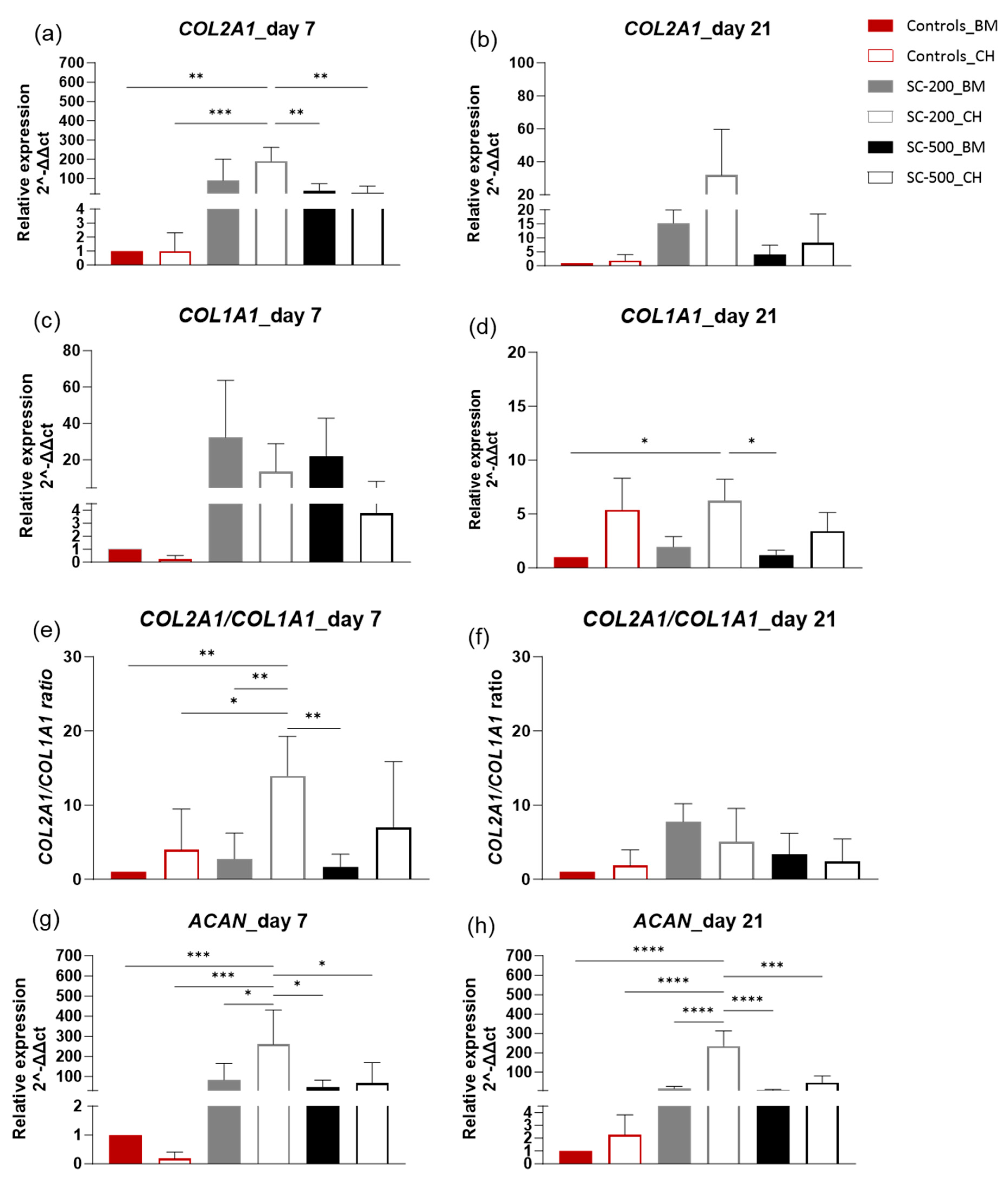 Bioengineering 11 00112 g006 Bioengineering 11 00112 g006