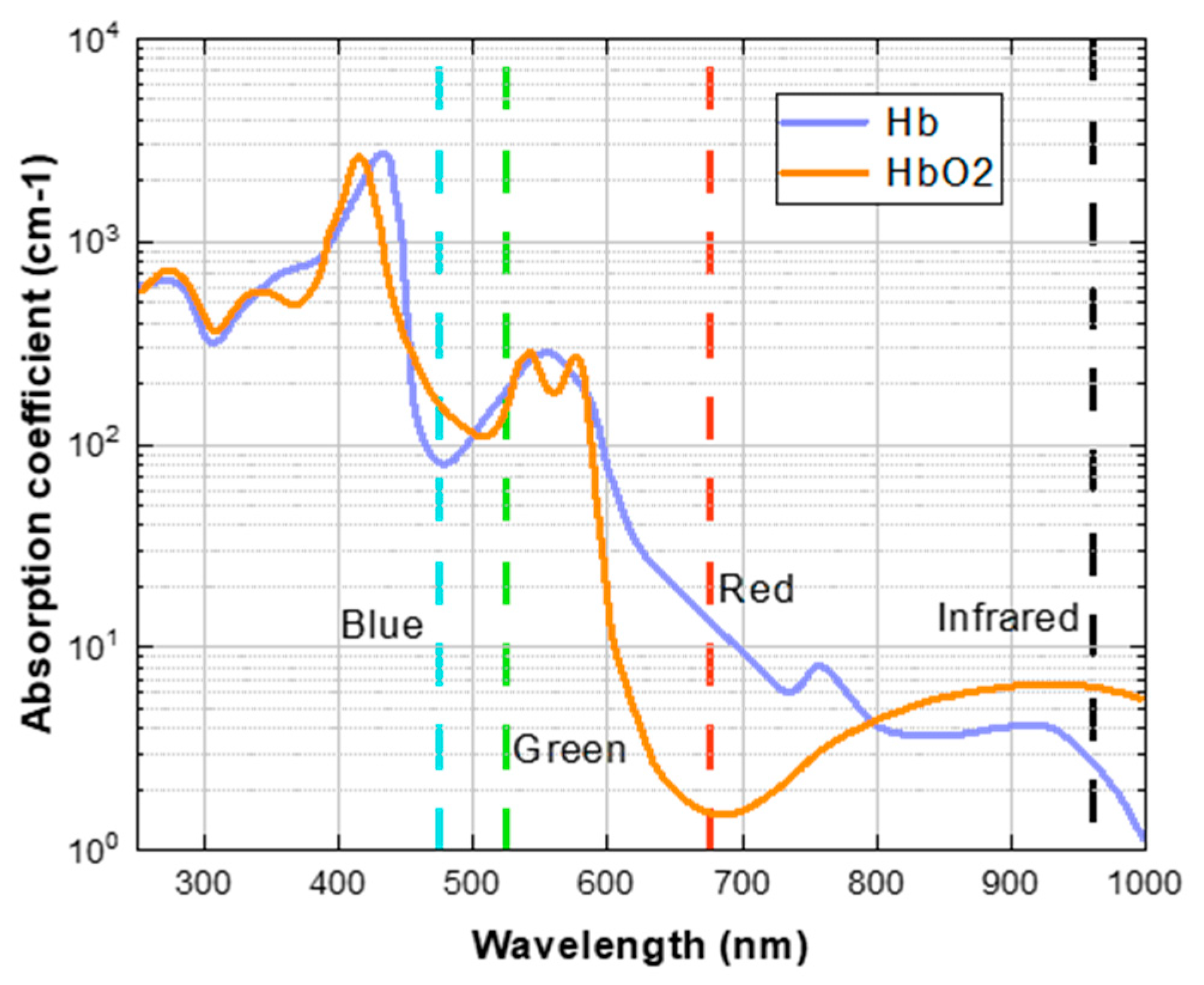 Bioengineering 11 00113 g002