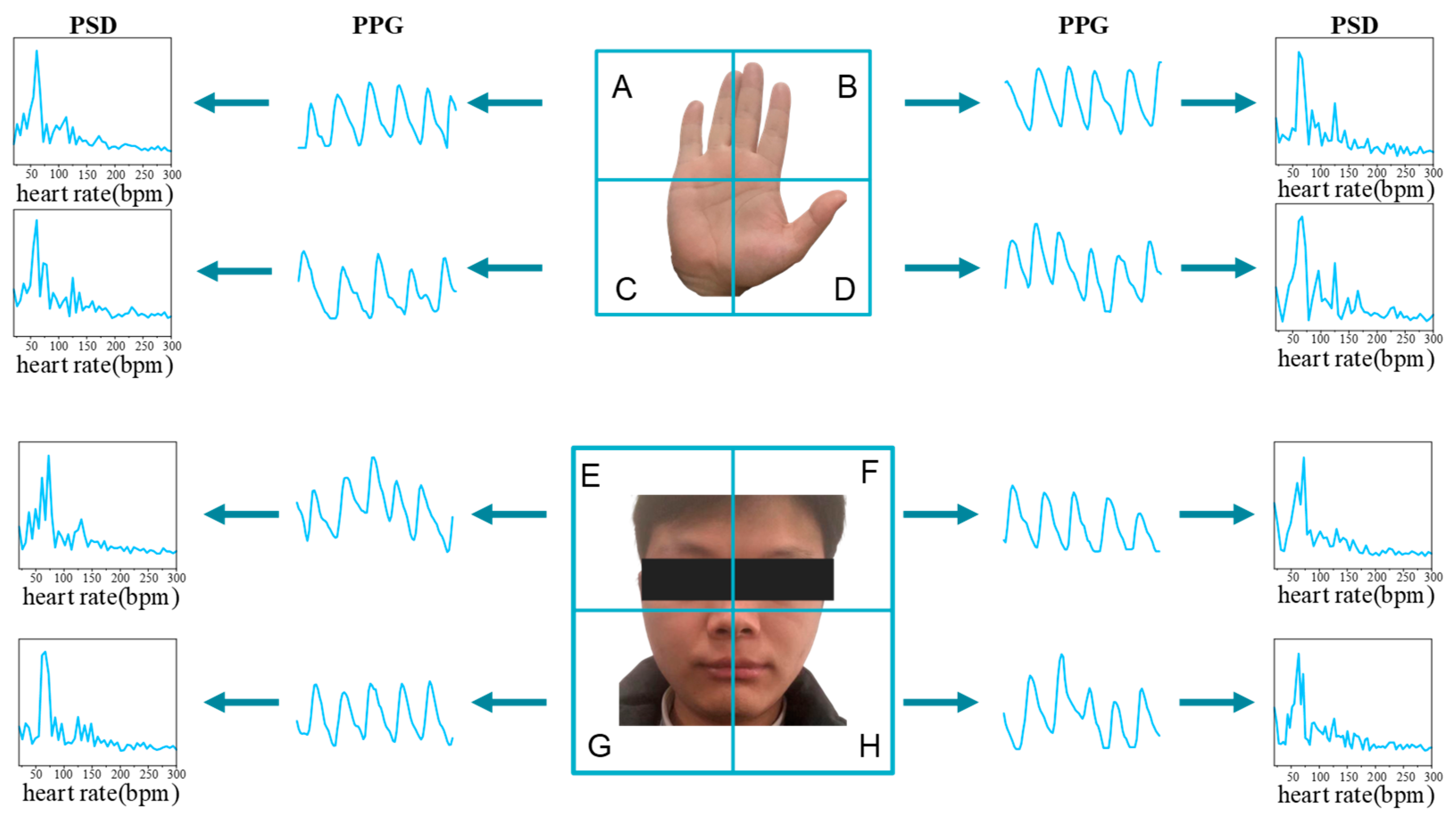 Bioengineering 11 00113 g003