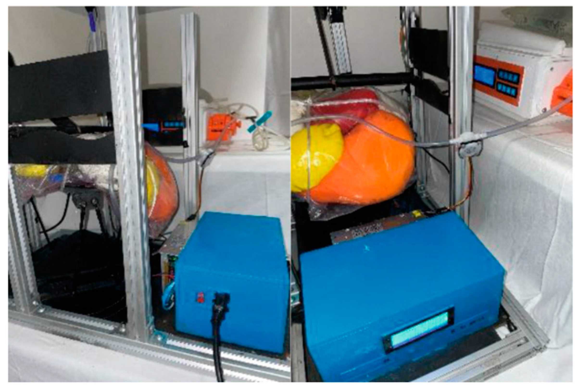 Bioengineering 11 00114 g004