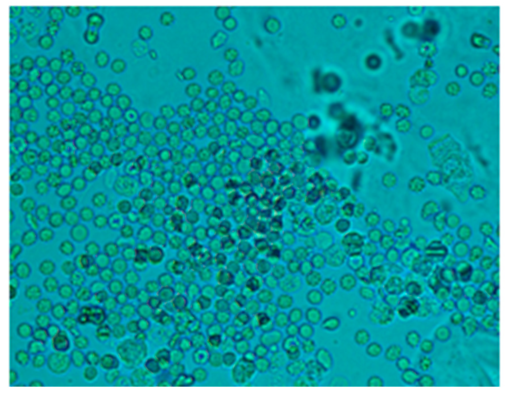 Bioengineering 11 00114 g007