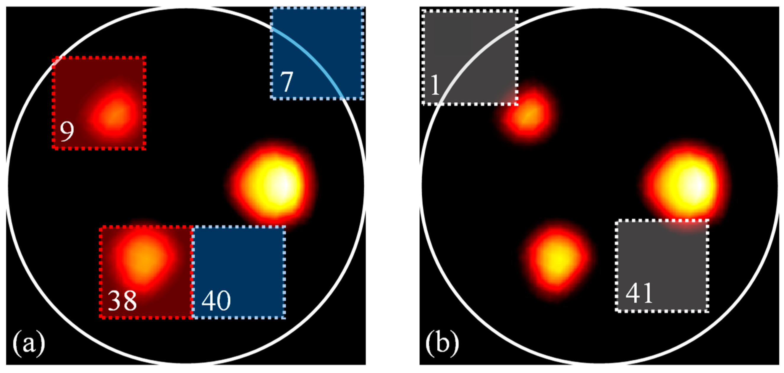 Bioengineering 11 00126 g005