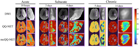 Bioengineering 11 00131 g003