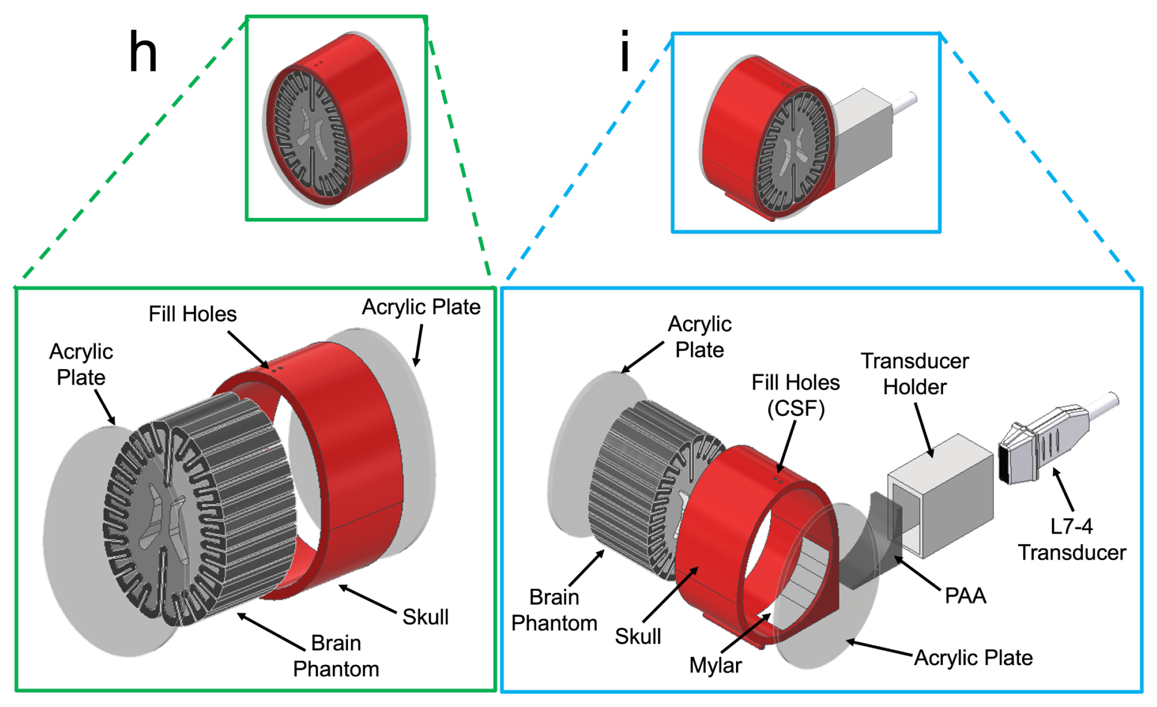 Bioengineering 11 00132 g001b Bioengineering 11 00132 g001b