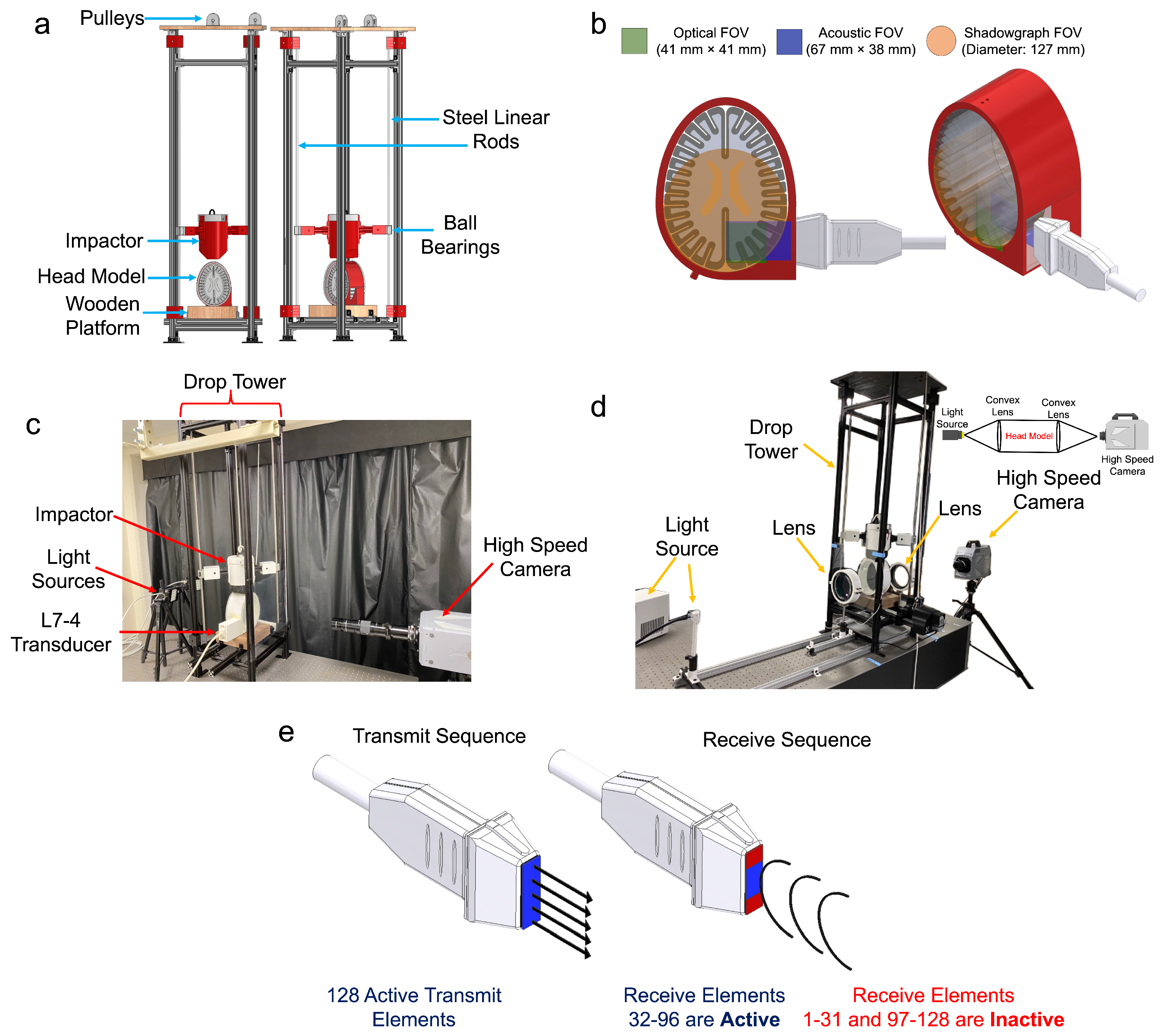 Bioengineering 11 00132 g002 Bioengineering 11 00132 g002