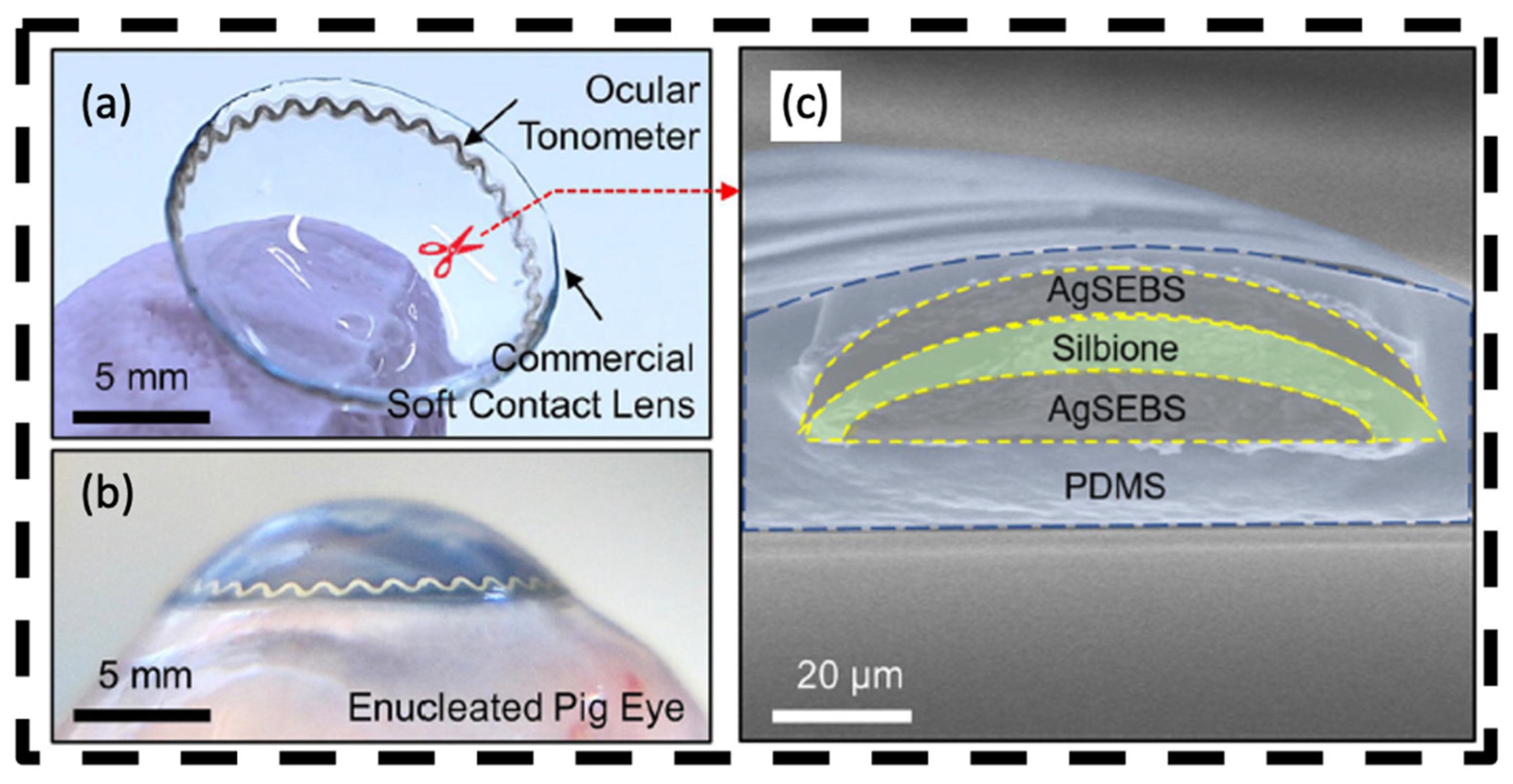 Bioengineering 11 00138 g006