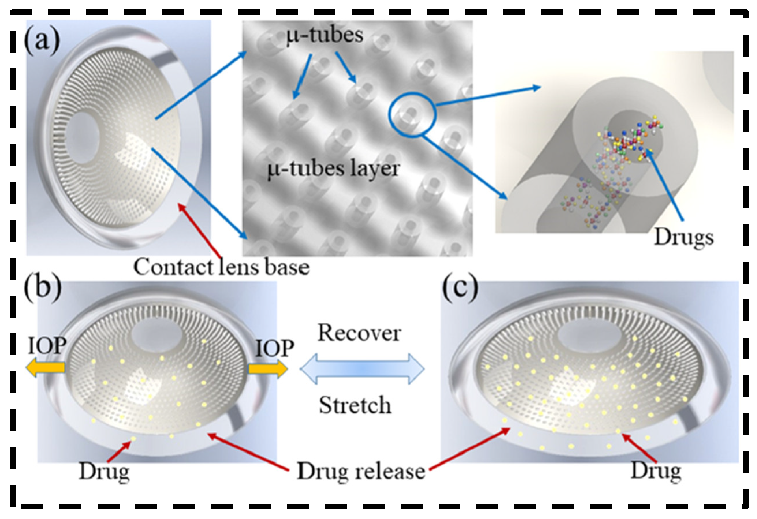 Bioengineering 11 00138 g007
