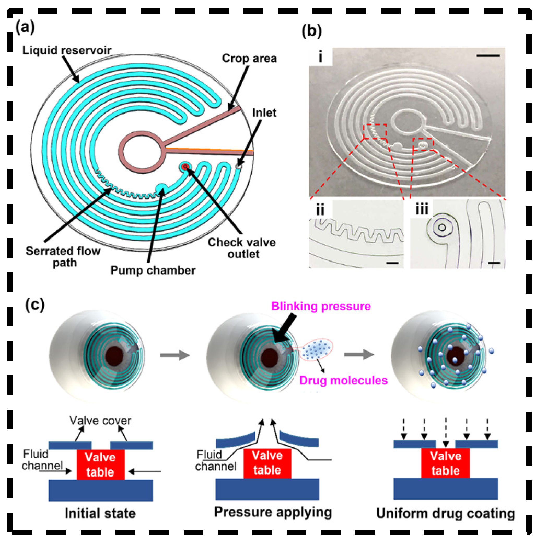 Bioengineering 11 00138 g008