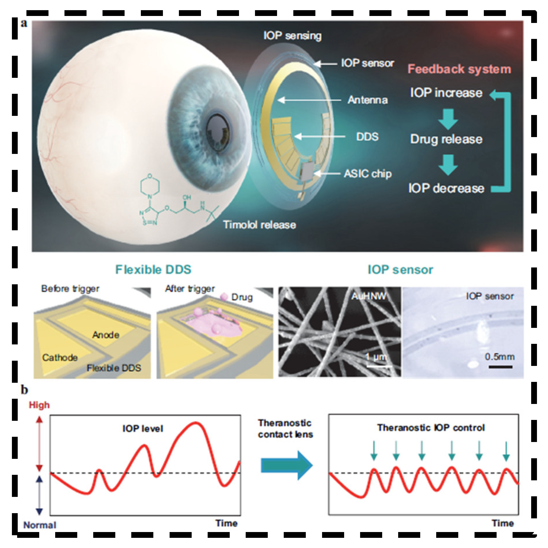 Bioengineering 11 00138 g009