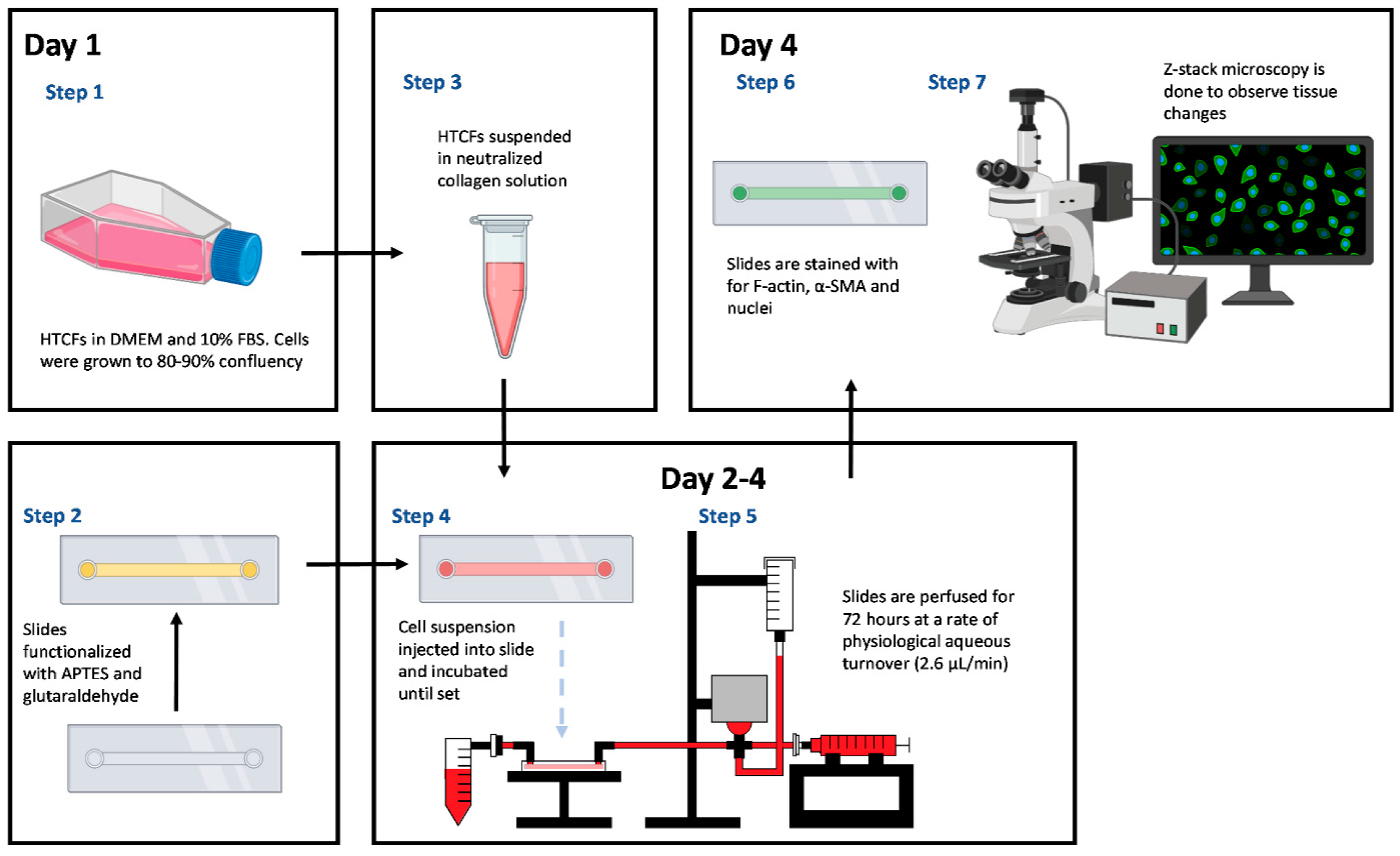 Bioengineering 11 00142 g001