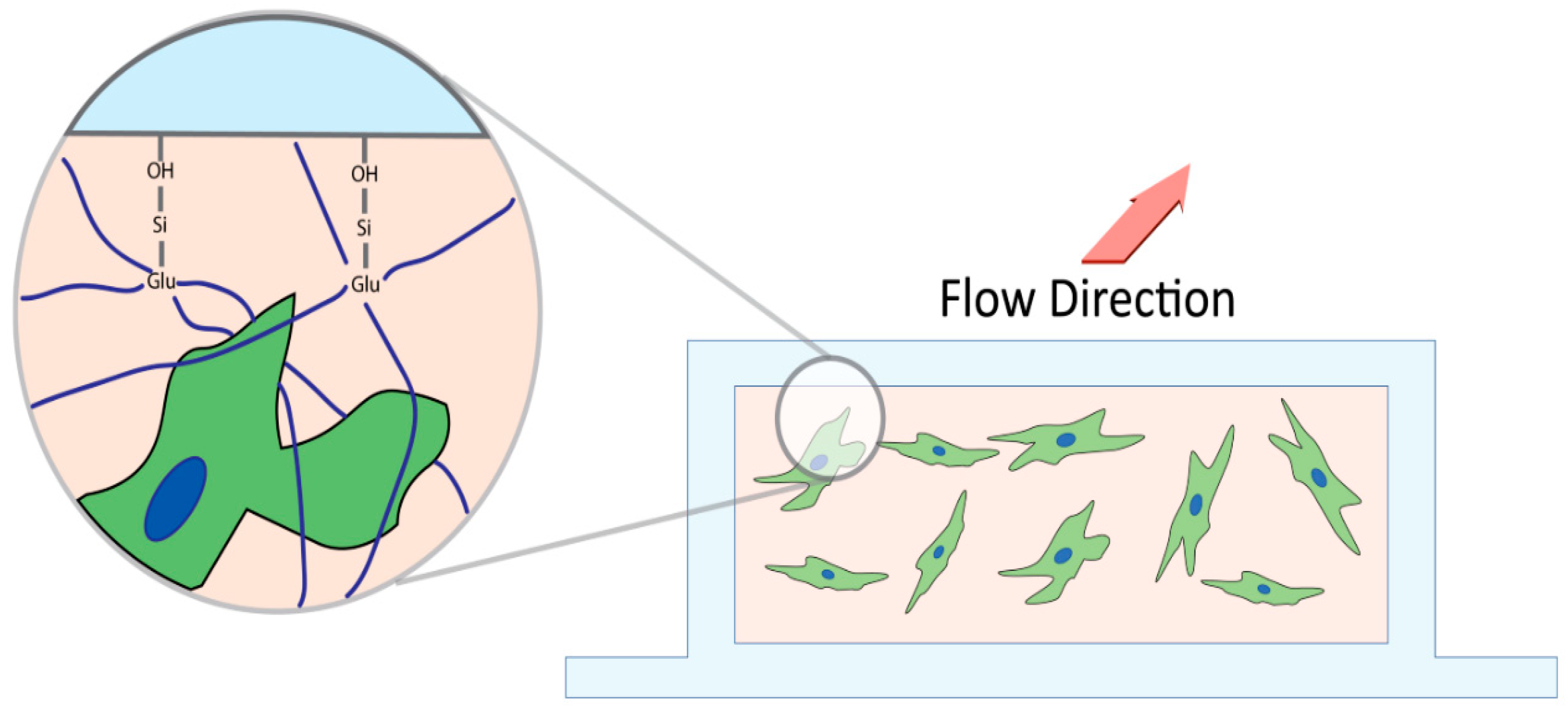 Bioengineering 11 00142 g002