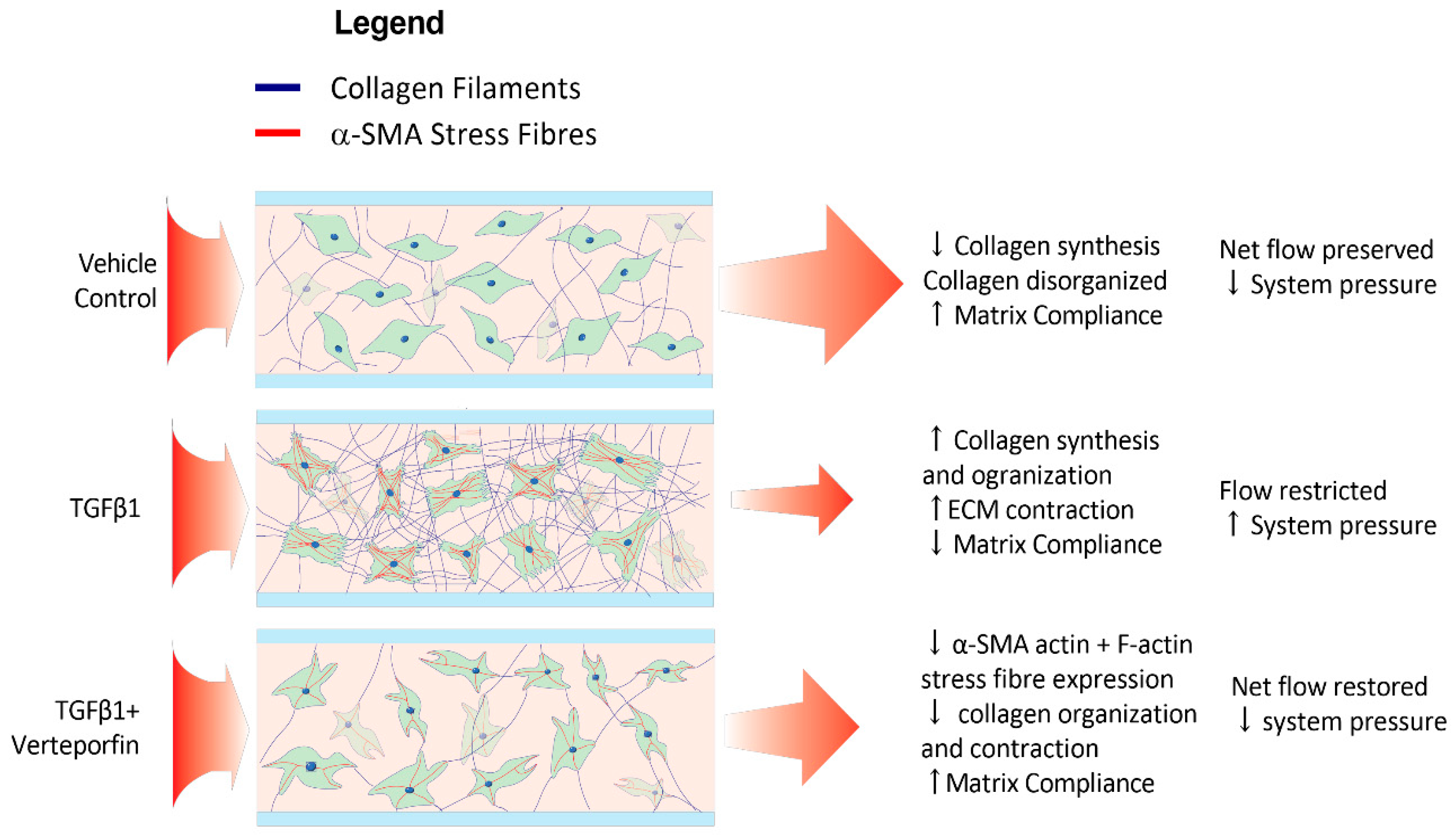 Bioengineering 11 00142 g008