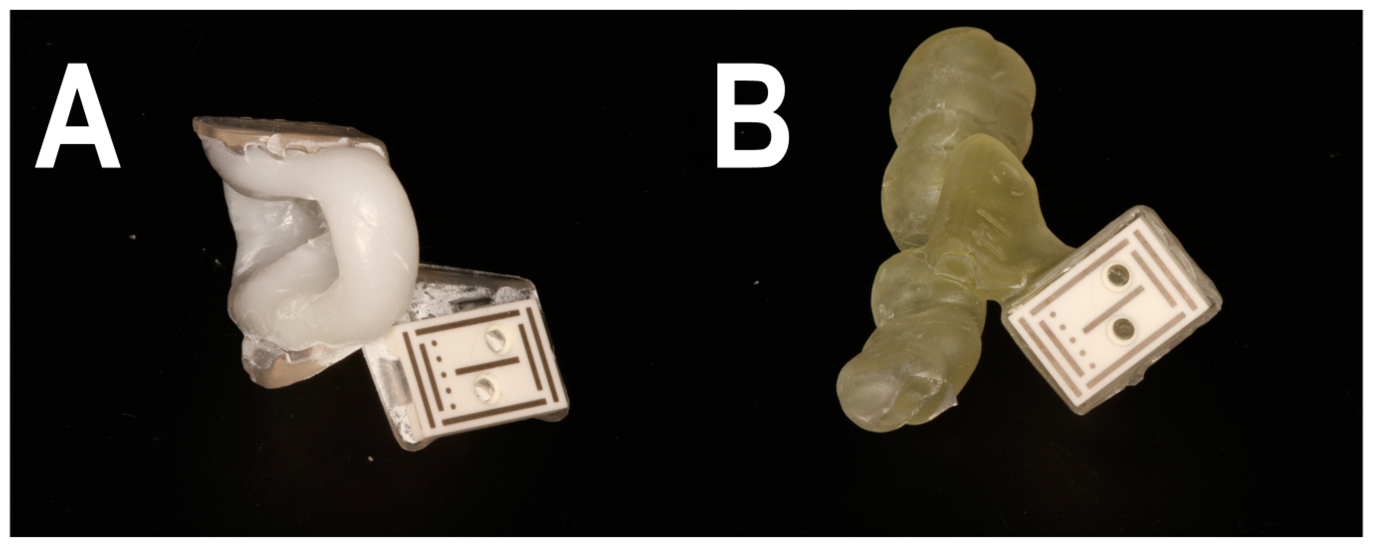 Bioengineering 11 00155 g002 Bioengineering 11 00155 g002