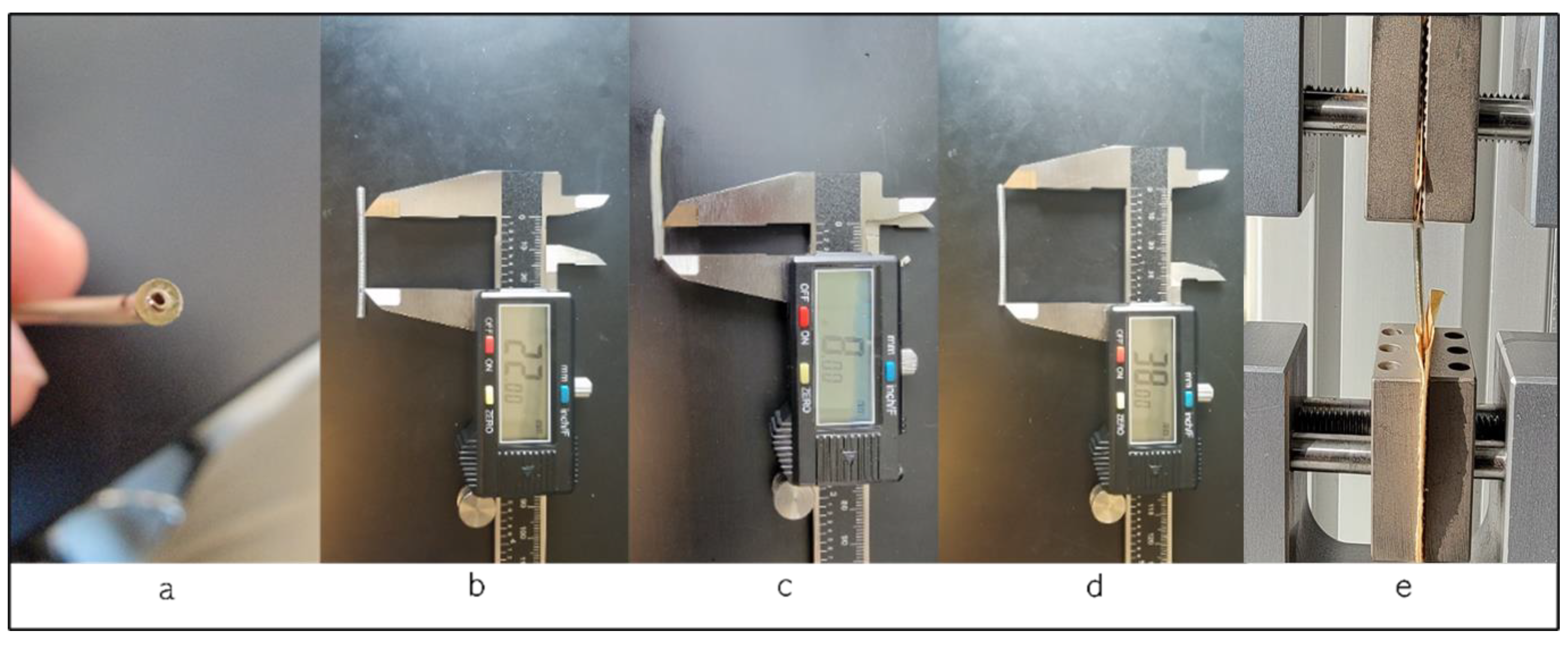 Bioengineering 11 00156 g002