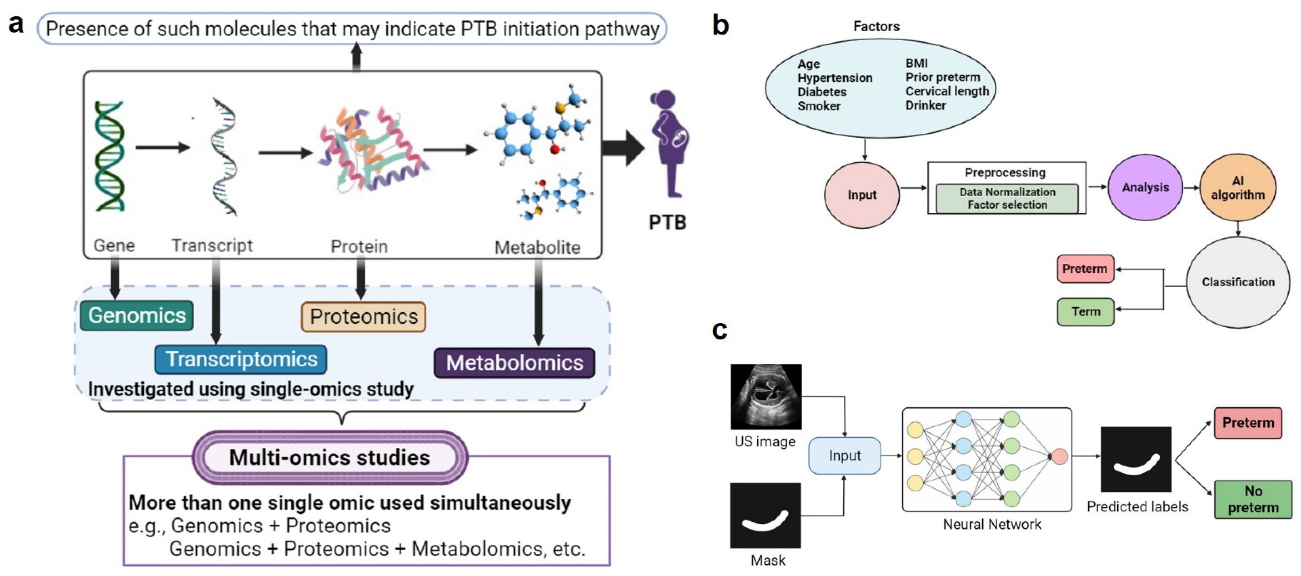 Bioengineering 11 00161 g002 Bioengineering 11 00161 g002