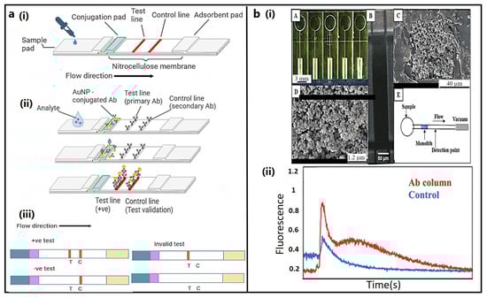 Bioengineering 11 00161 g003