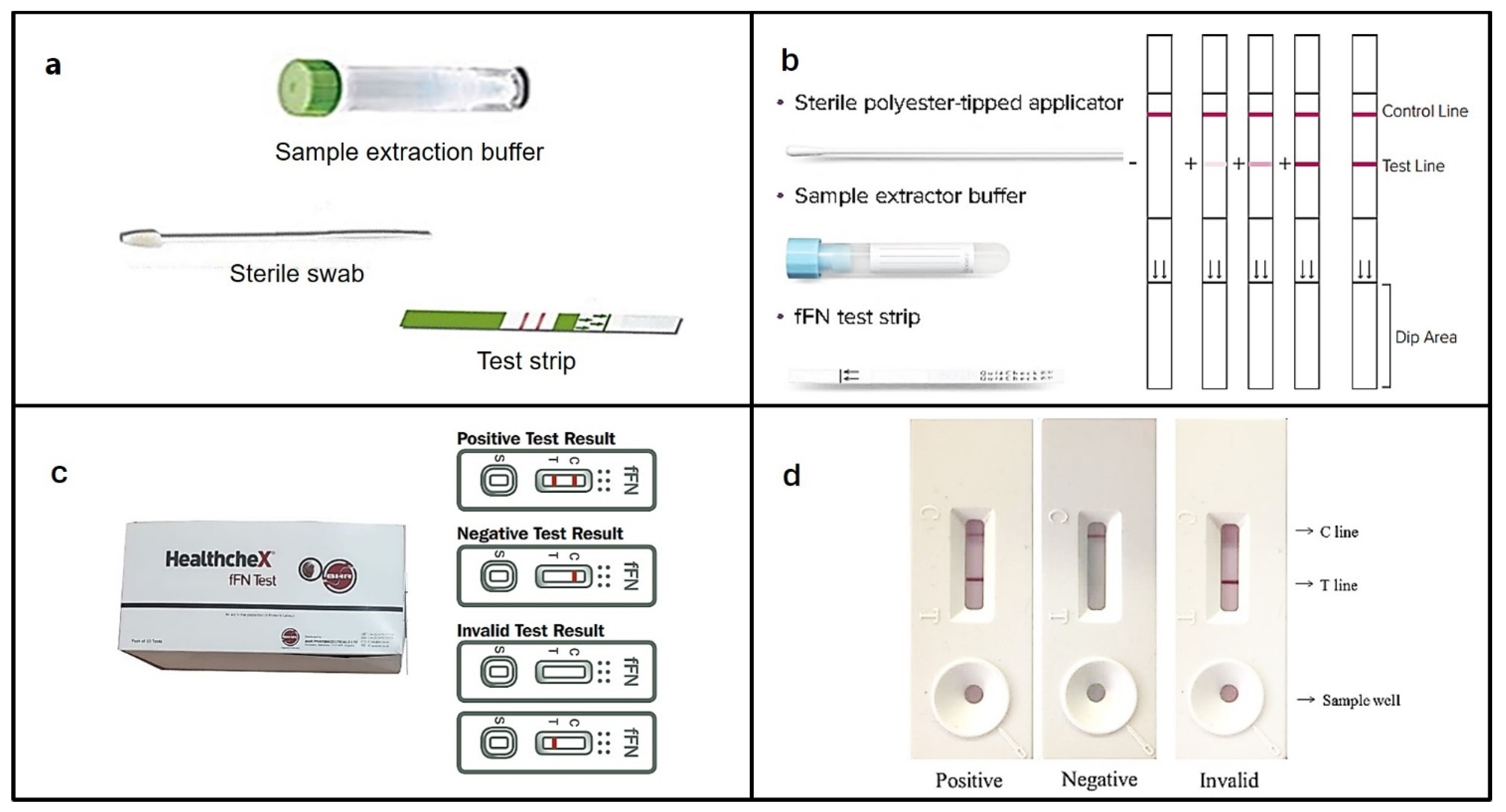 Bioengineering 11 00161 g004 Bioengineering 11 00161 g004