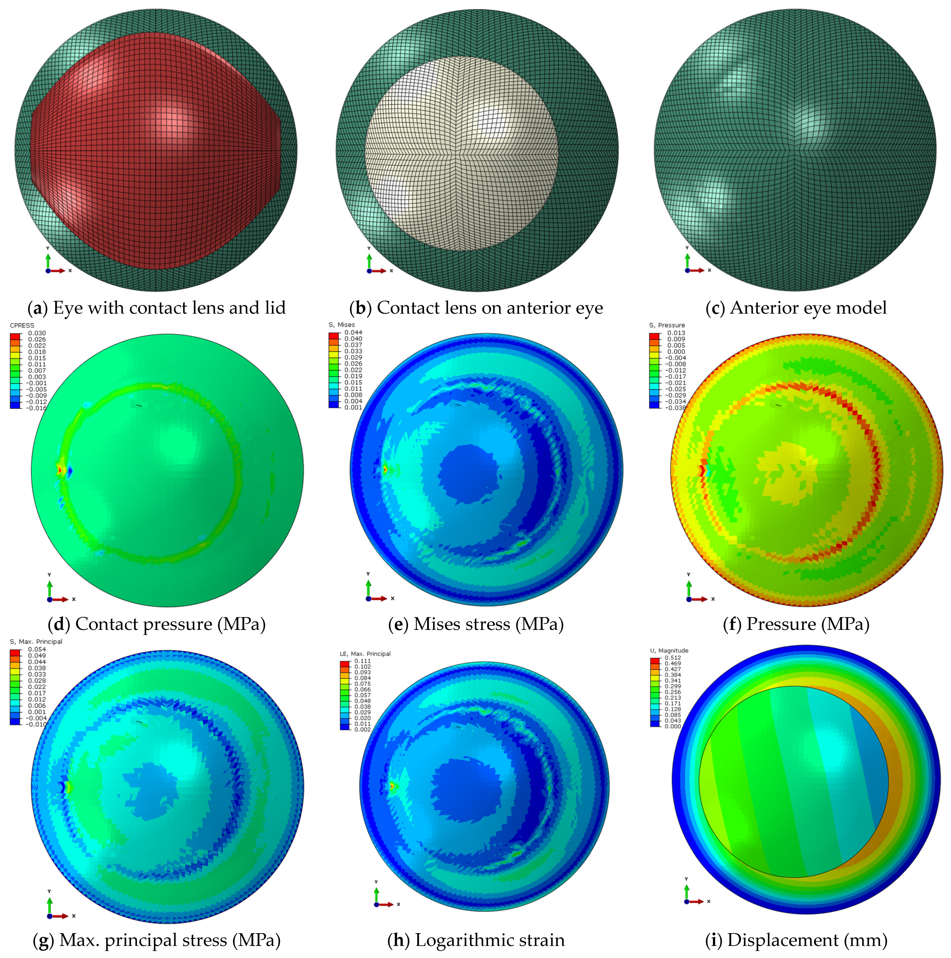 Bioengineering 11 00166 g007