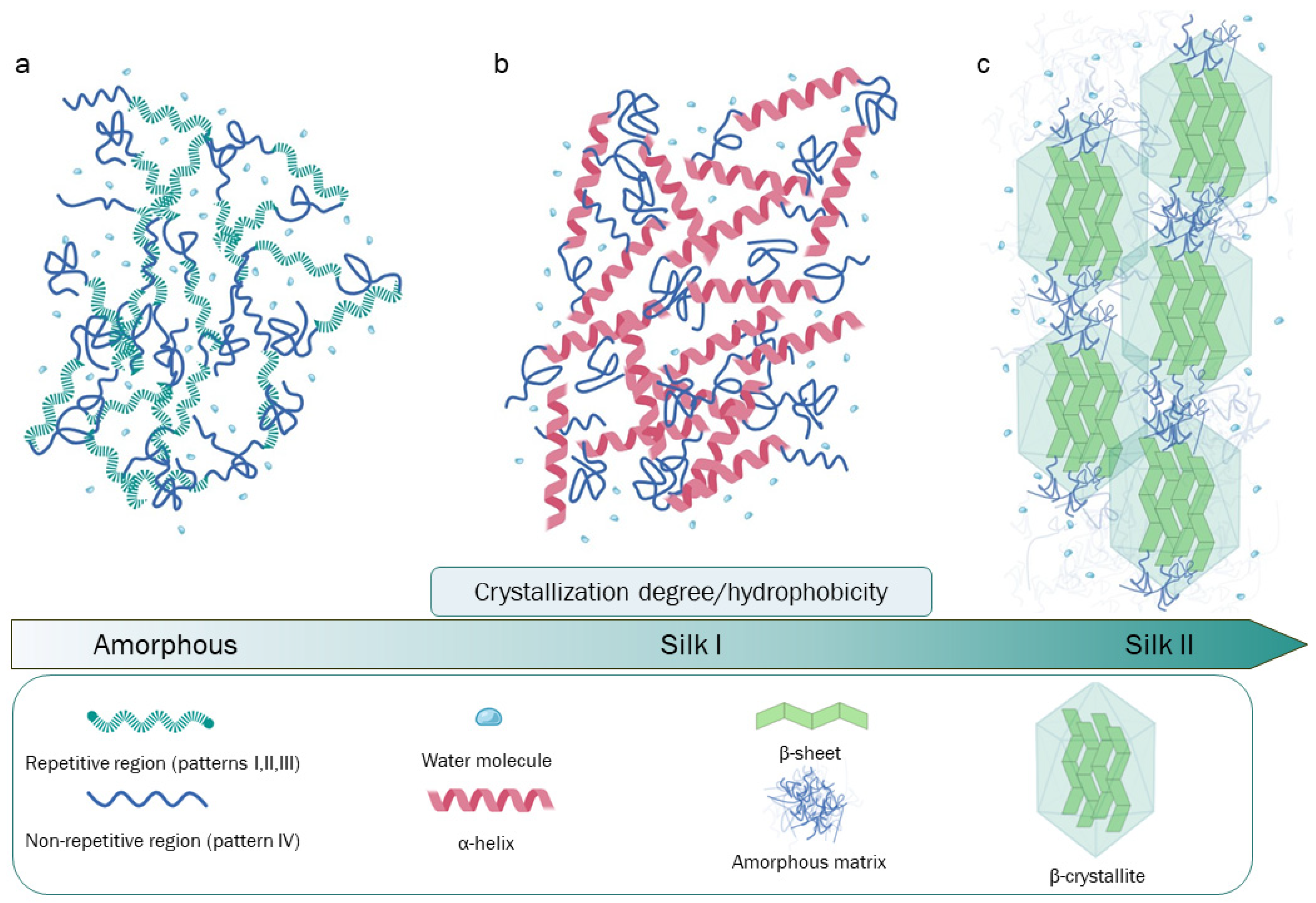 Bioengineering 11 00167 g001 Bioengineering 11 00167 g001