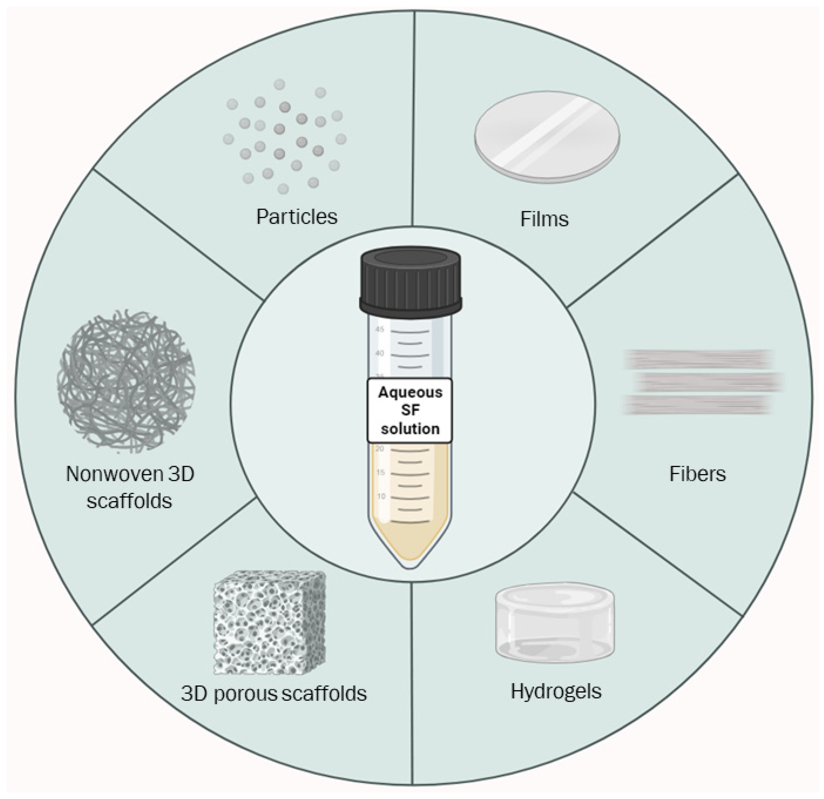 Bioengineering 11 00167 g003 Bioengineering 11 00167 g003
