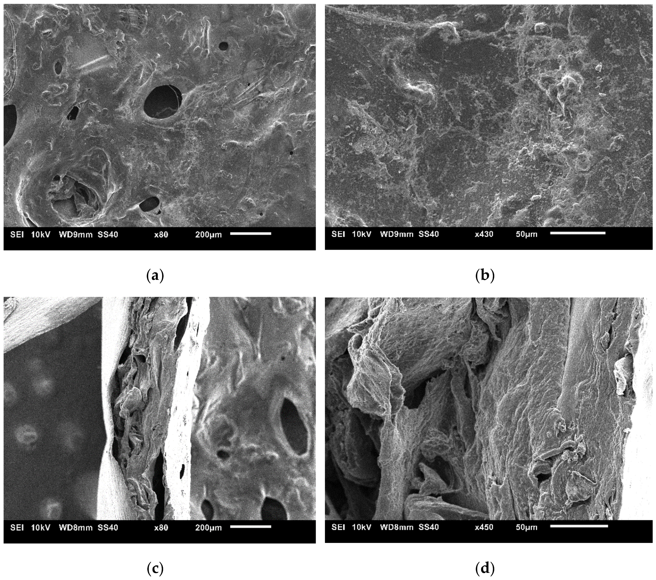 Bioengineering 11 00168 g001