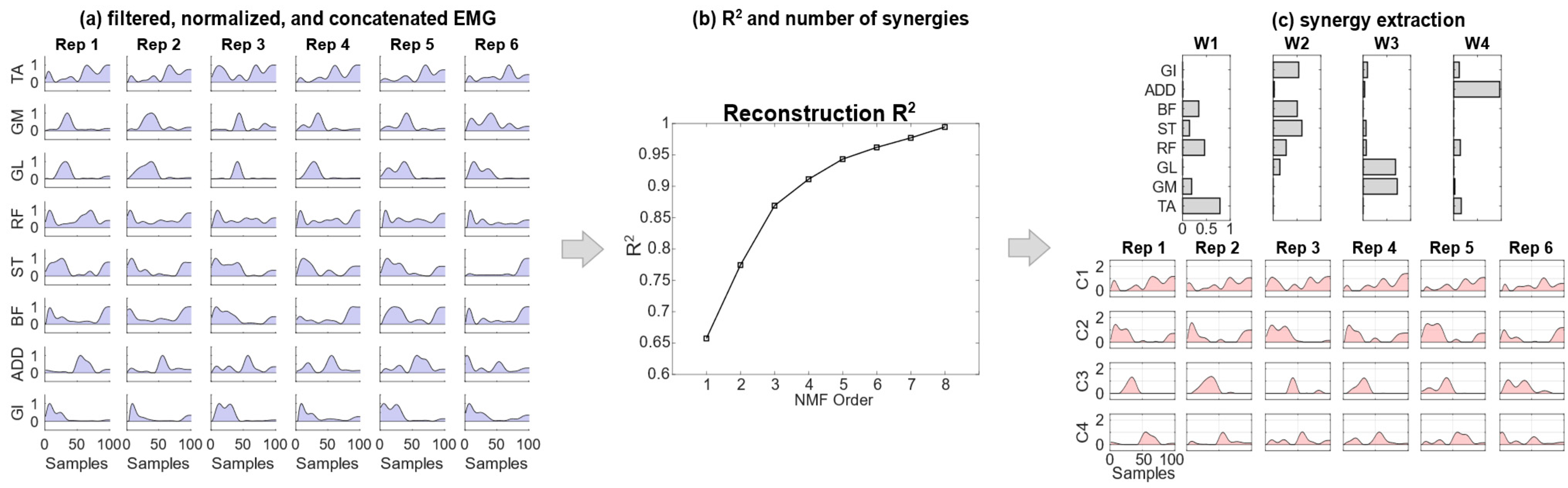 Bioengineering 11 00173 g001