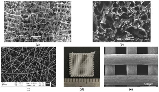 Bioengineering 11 00180 g006