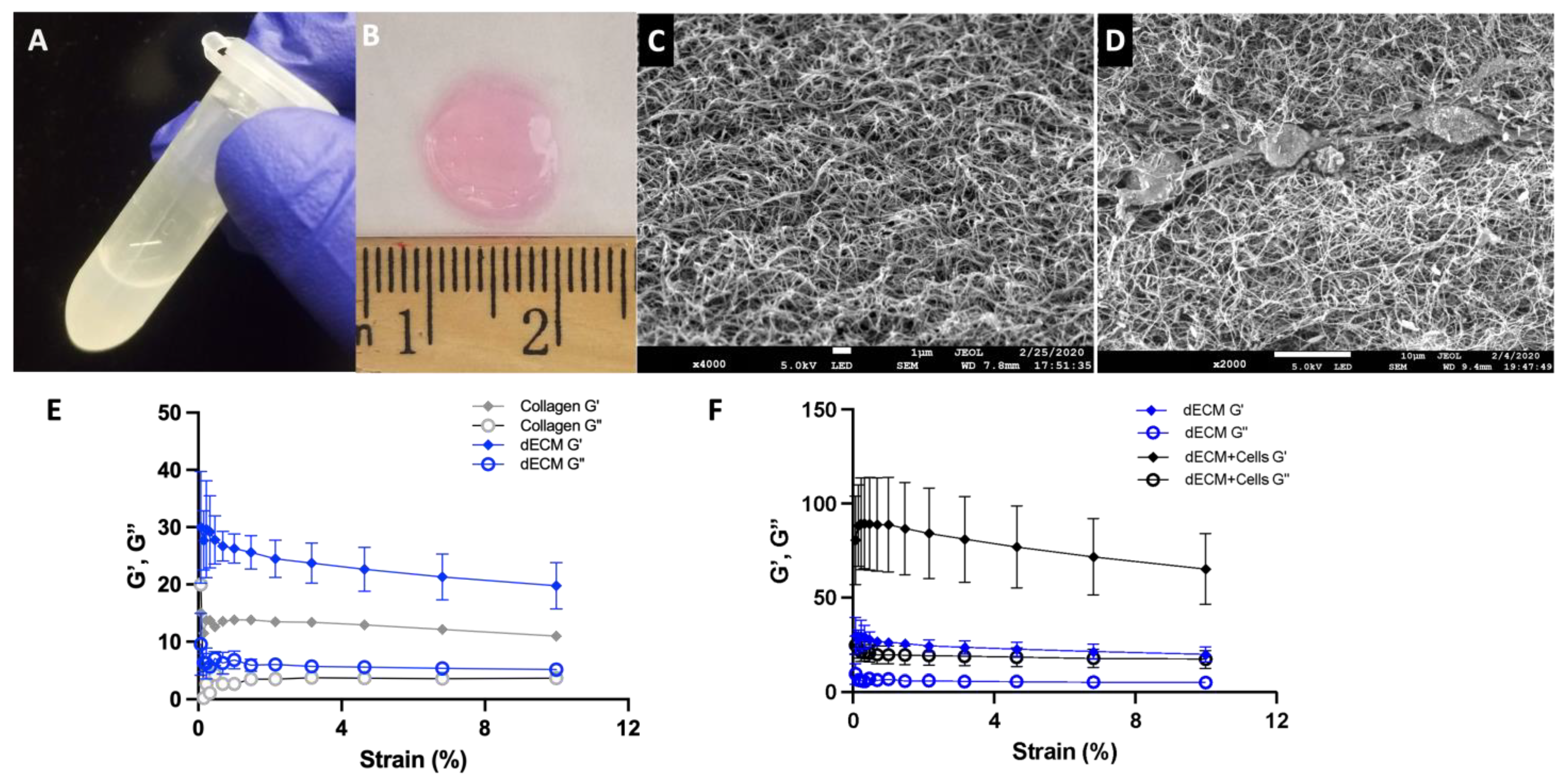 Bioengineering 11 00183 g003