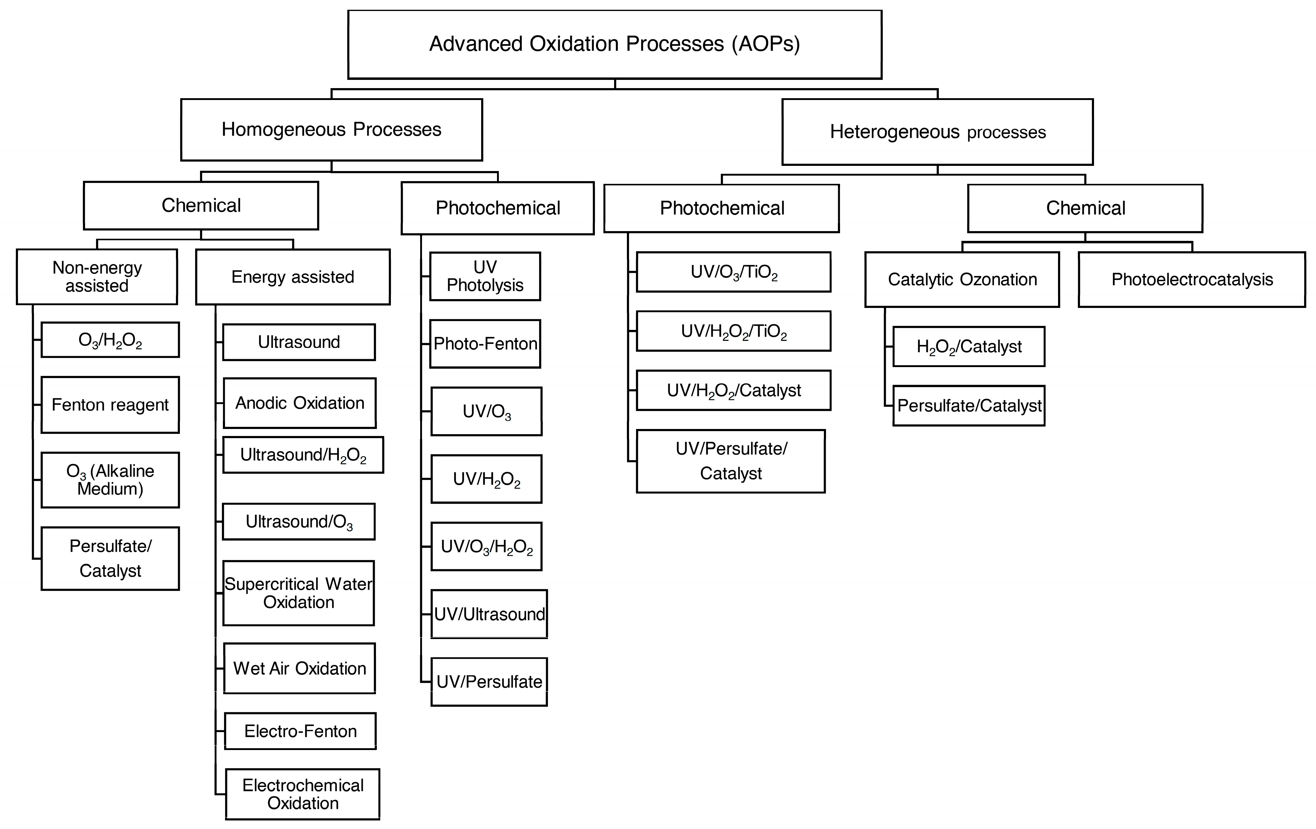 Bioengineering 11 00189 g003