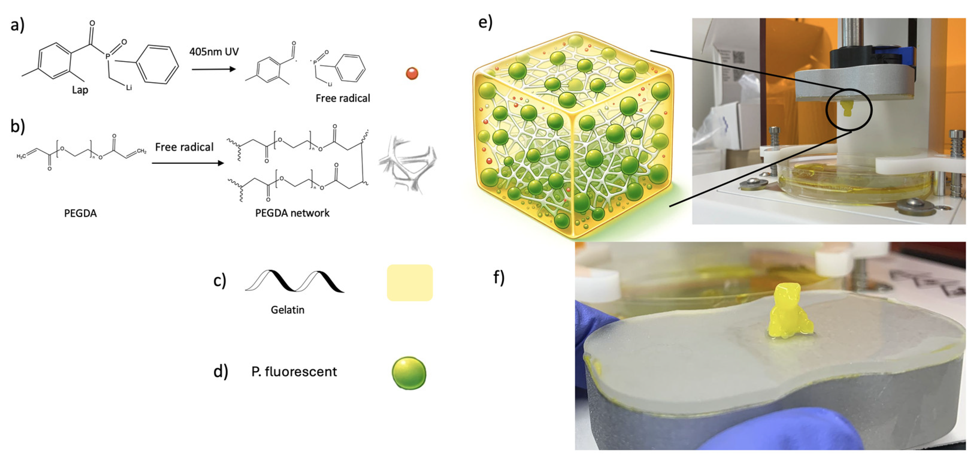 Bioengineering 11 00202 g004