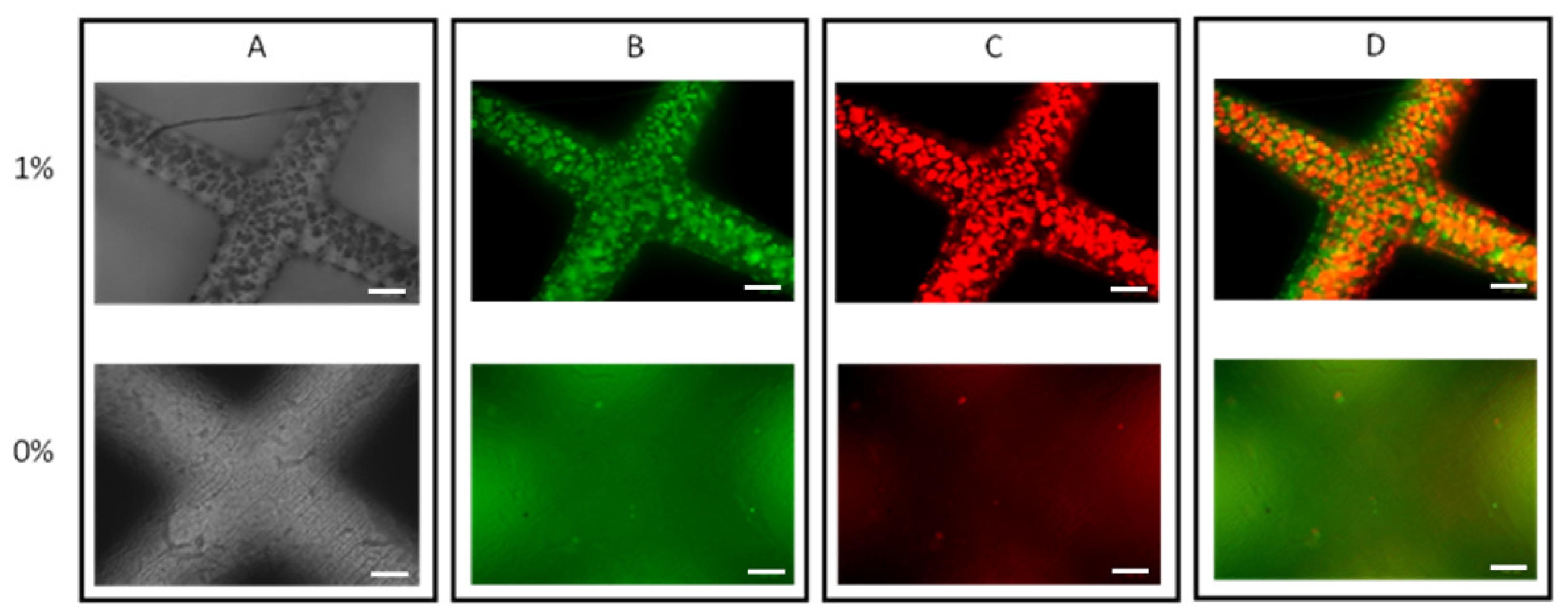 Bioengineering 11 00202 g007