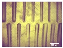 Bioengineering 11 00202 i004