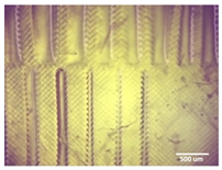 Bioengineering 11 00202 i006