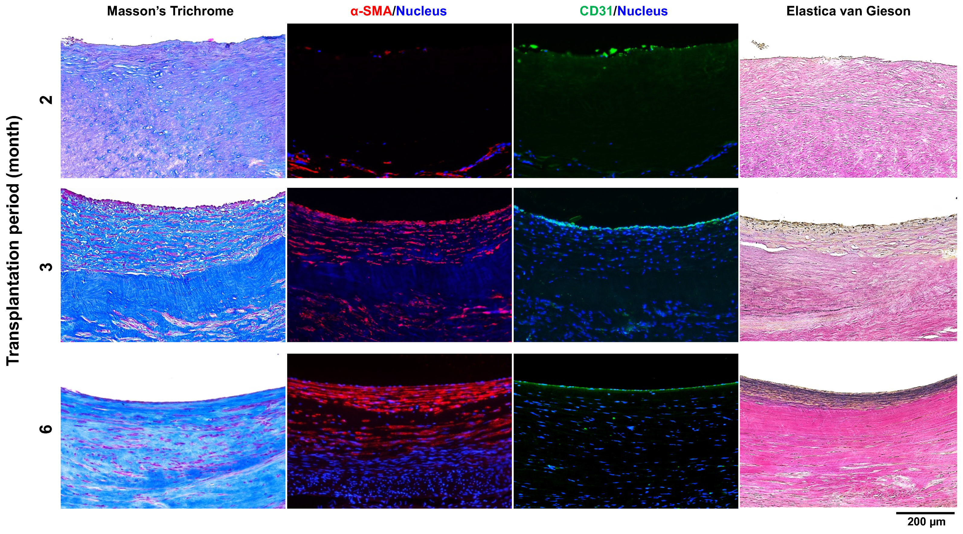 Bioengineering 11 00203 g007