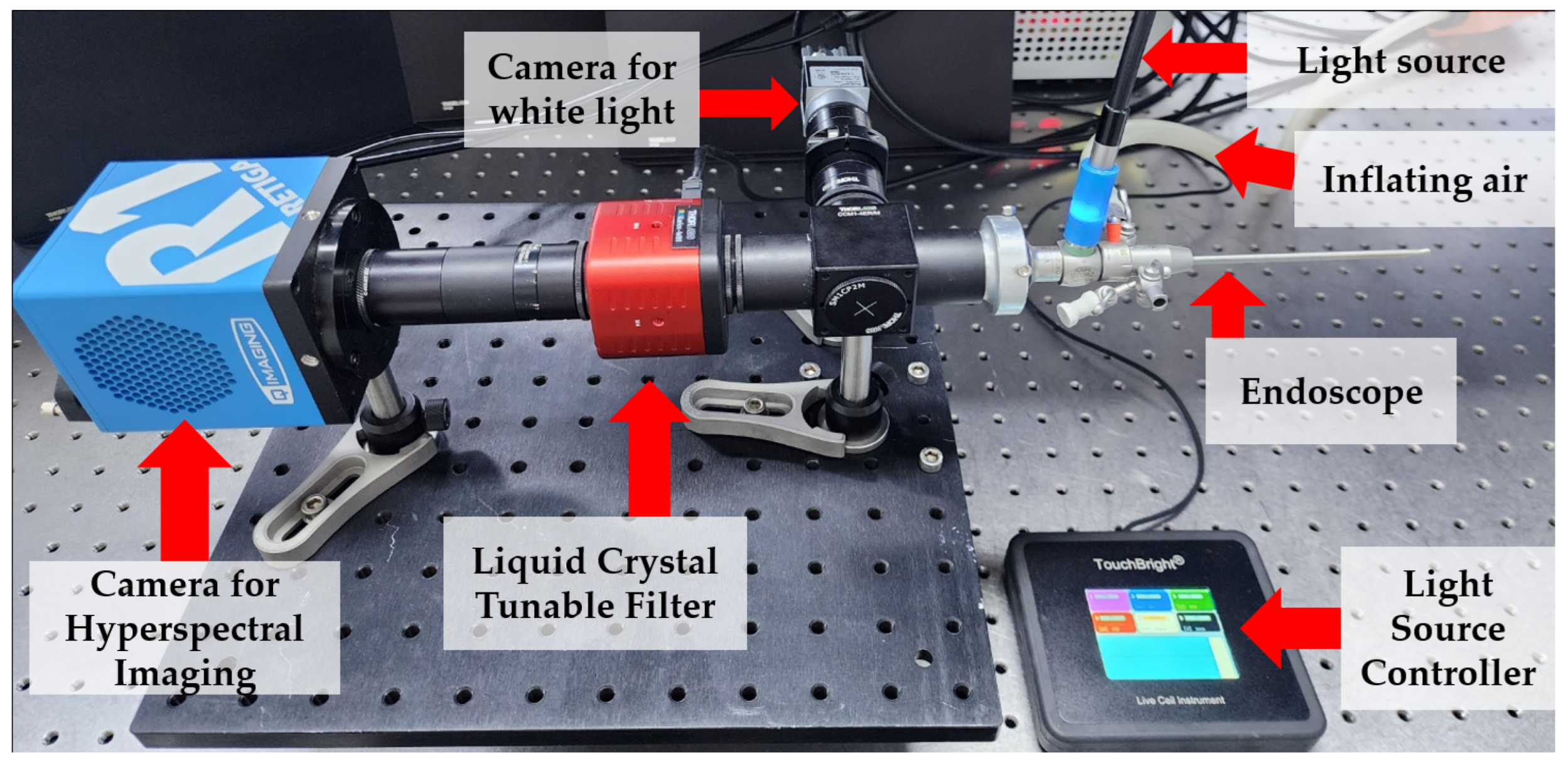 Bioengineering 11 00208 g001