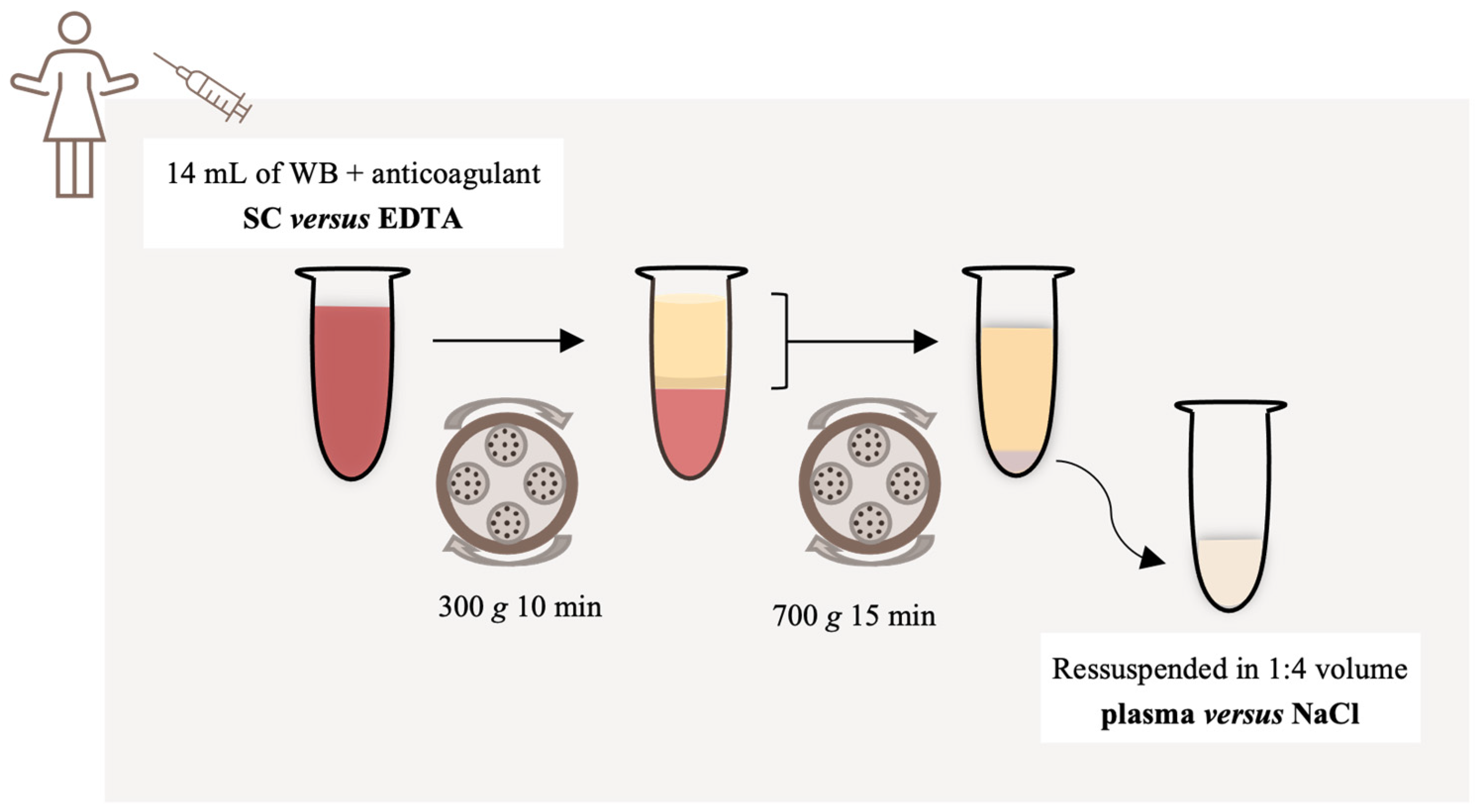 Bioengineering 11 00209 g001