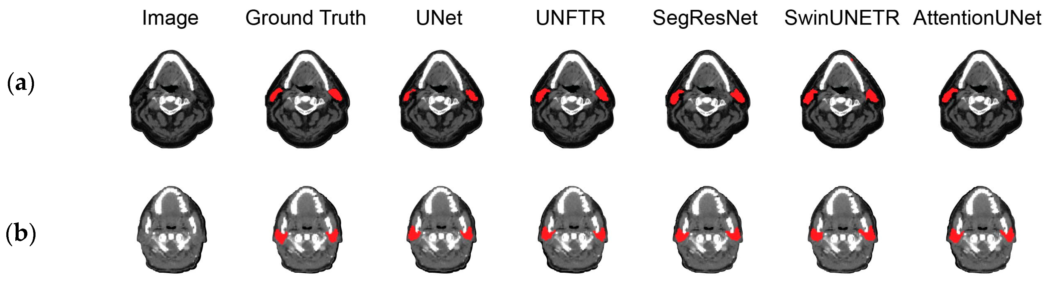 Bioengineering 11 00214 g004