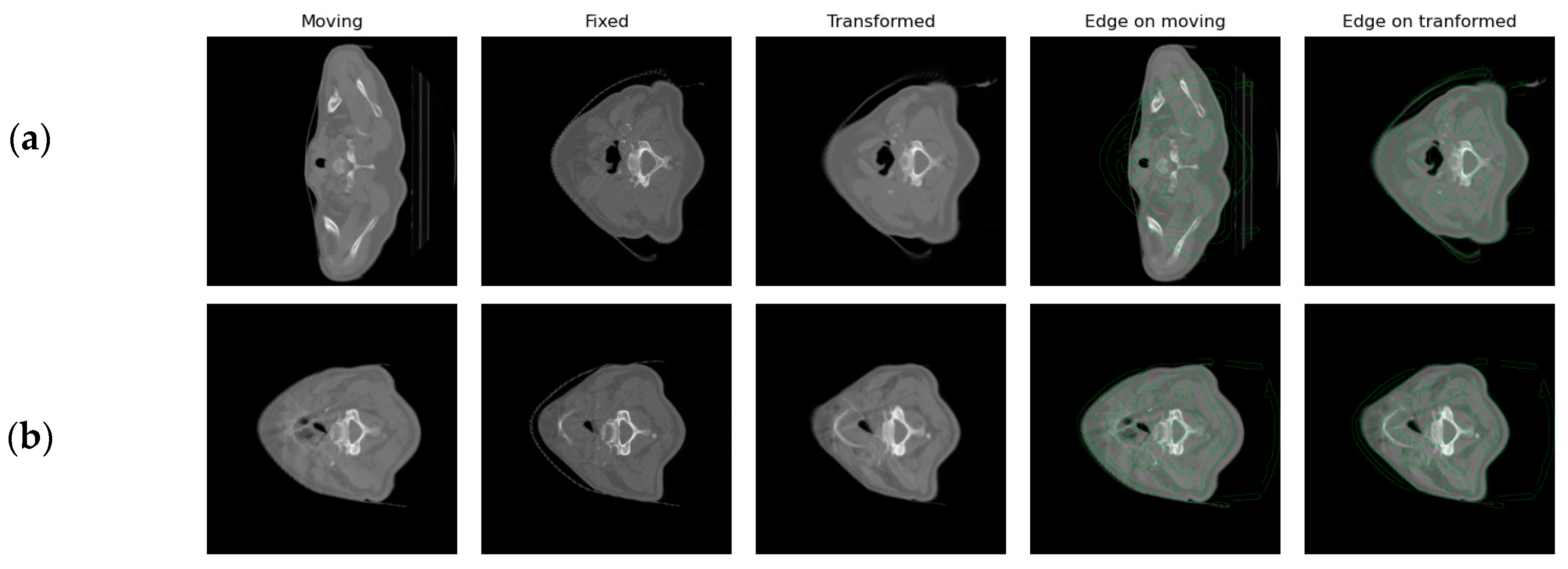 Bioengineering 11 00214 g005