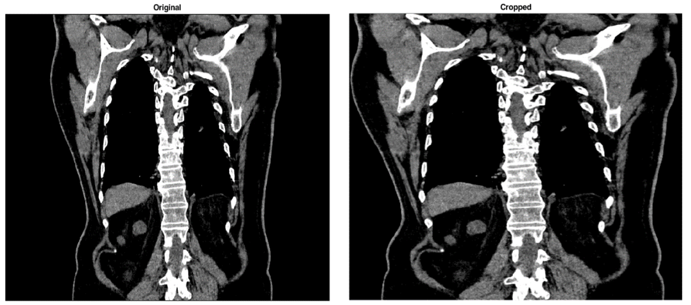 Bioengineering 11 00220 g002